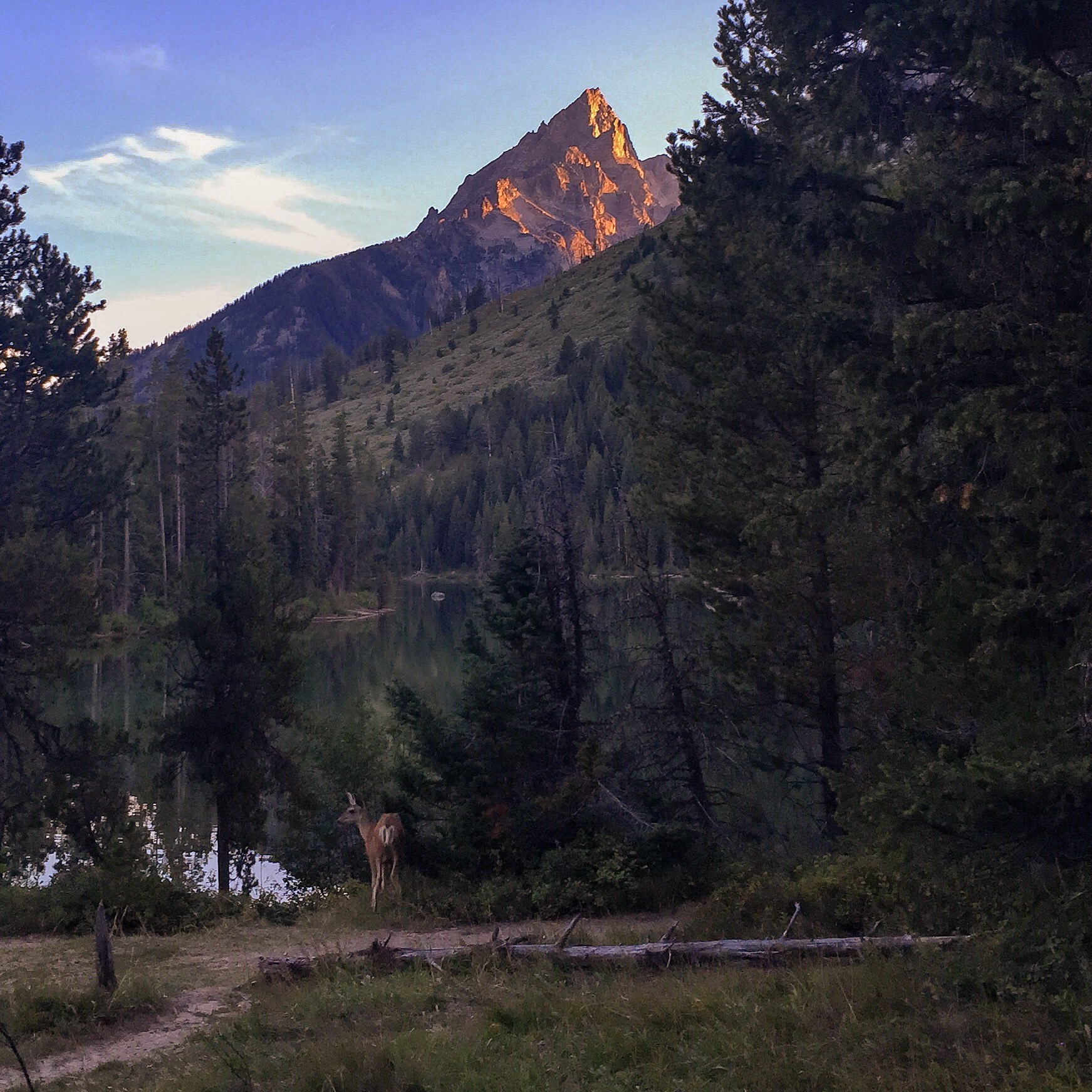 Leigh Lake via String Lake Trailhead