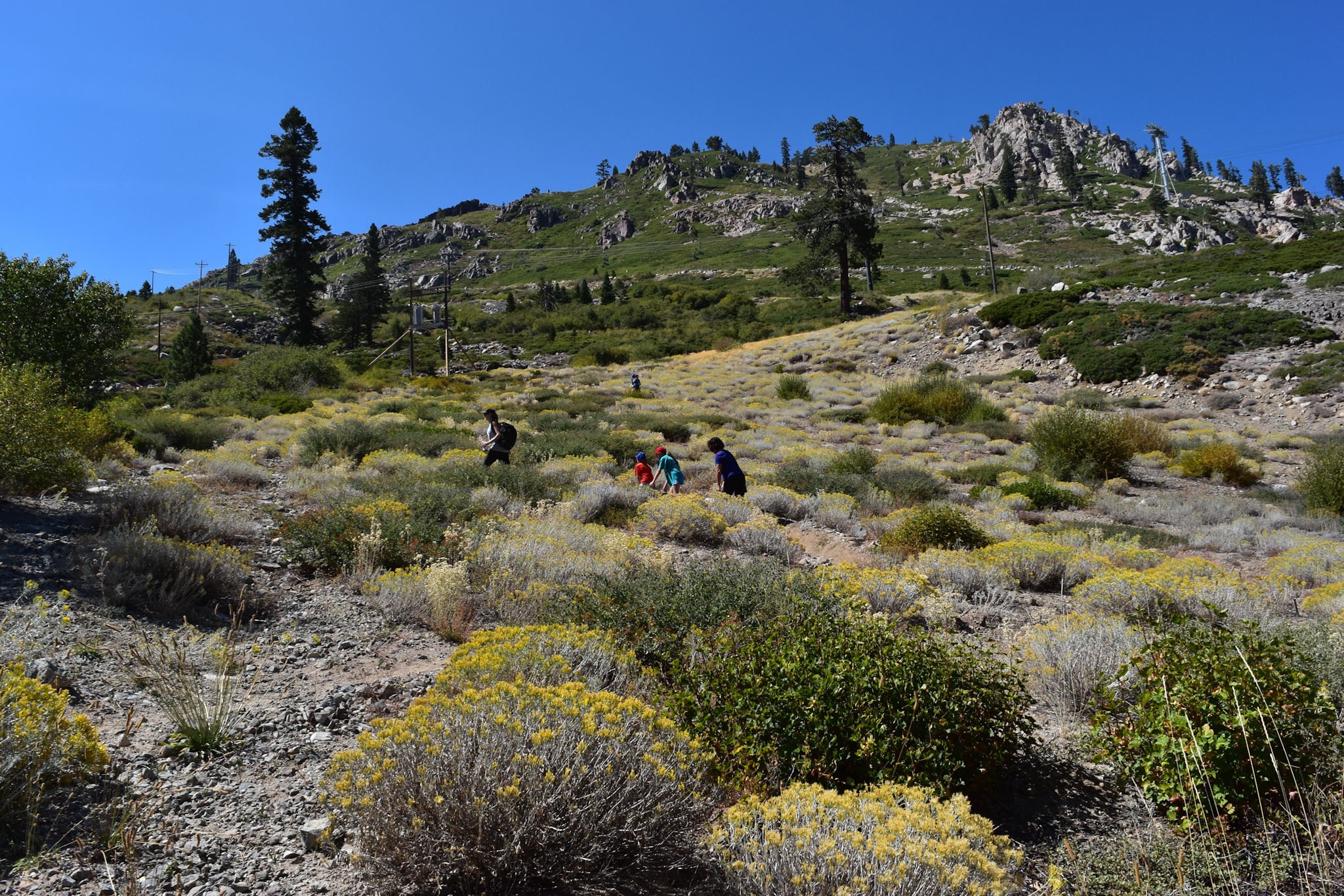 Hike the Thunder Mountain Trail, Olympic Valley, California