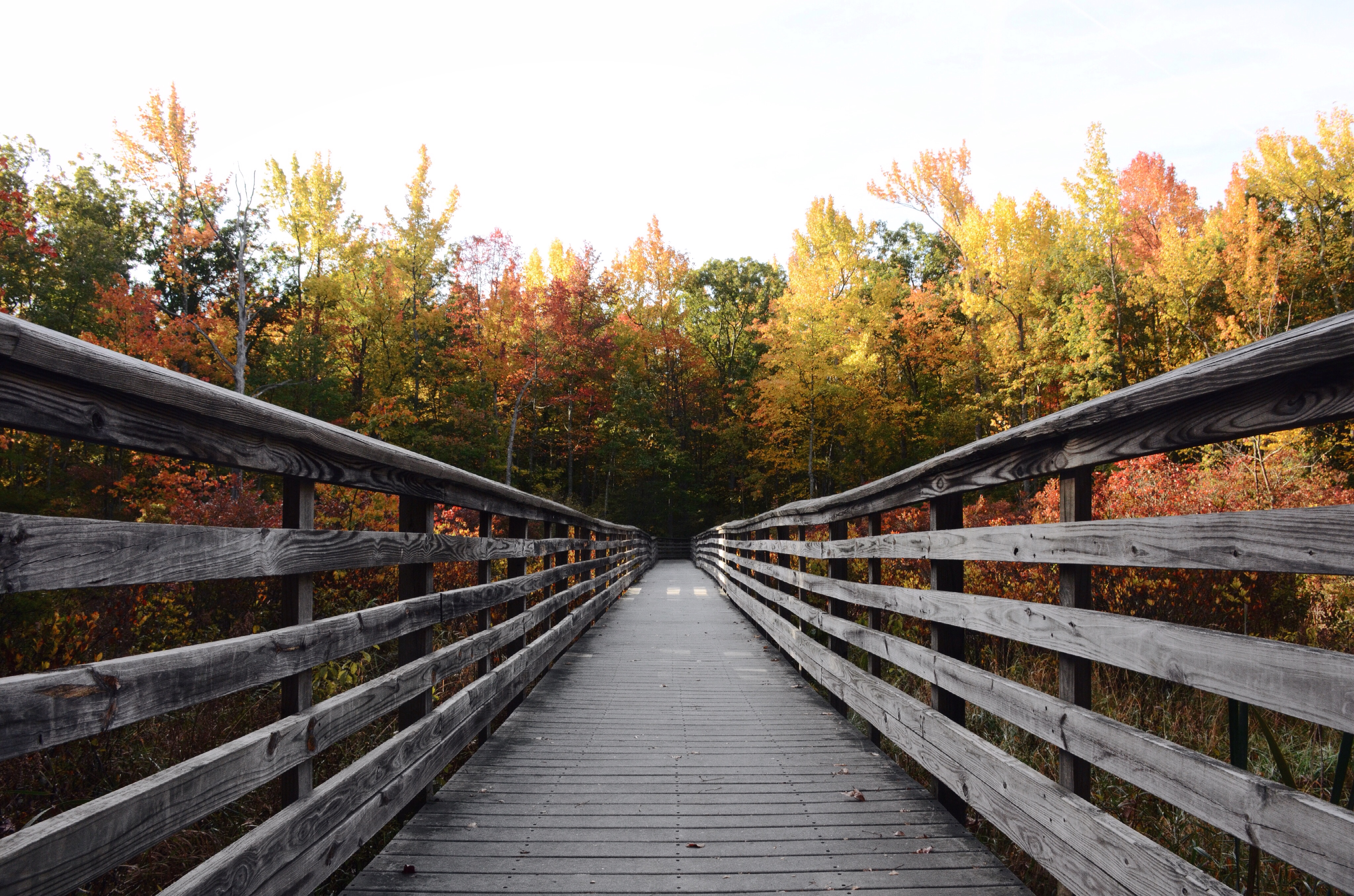 Great Swamp National Wildlife Refuge Loop
