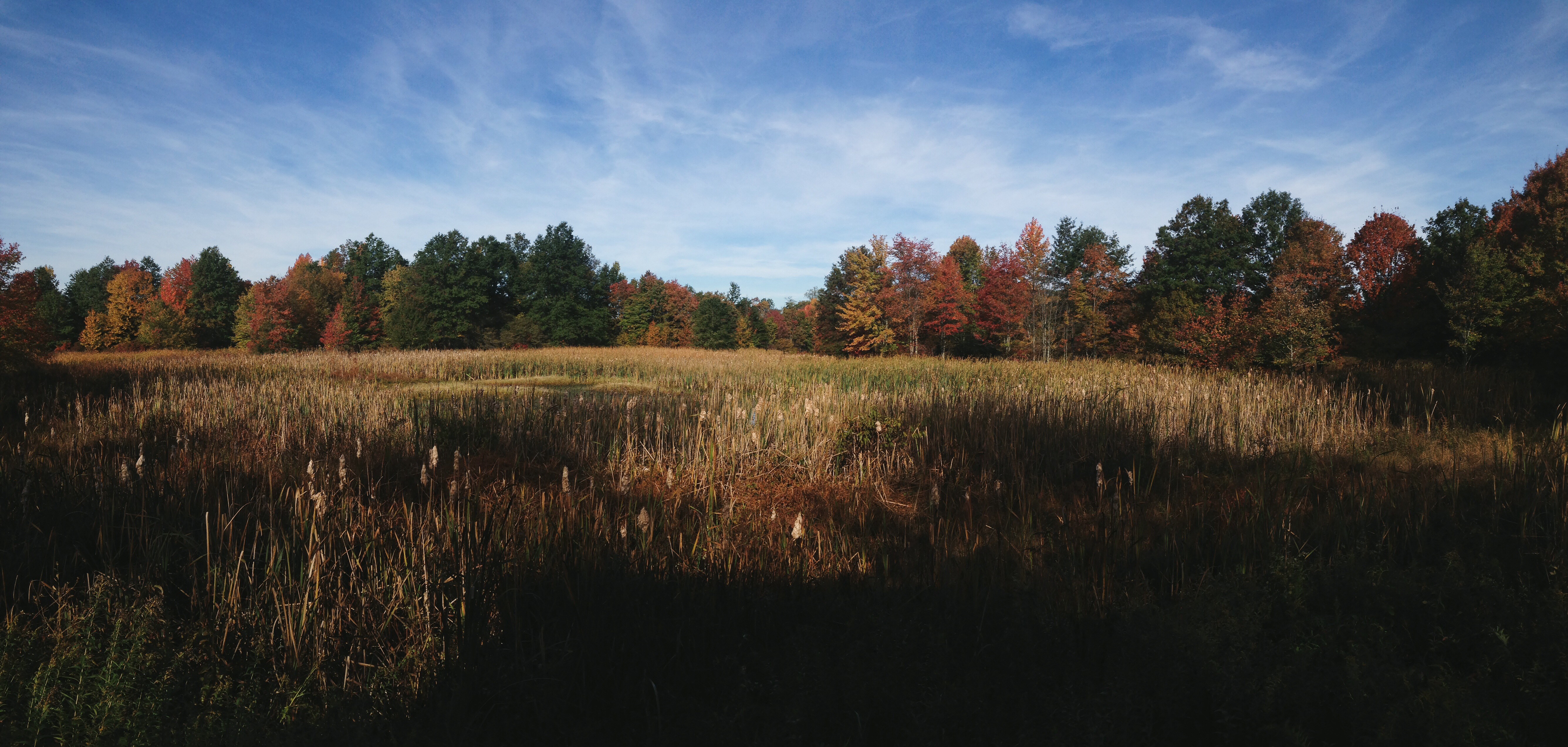 Great Swamp National Wildlife Refuge Loop