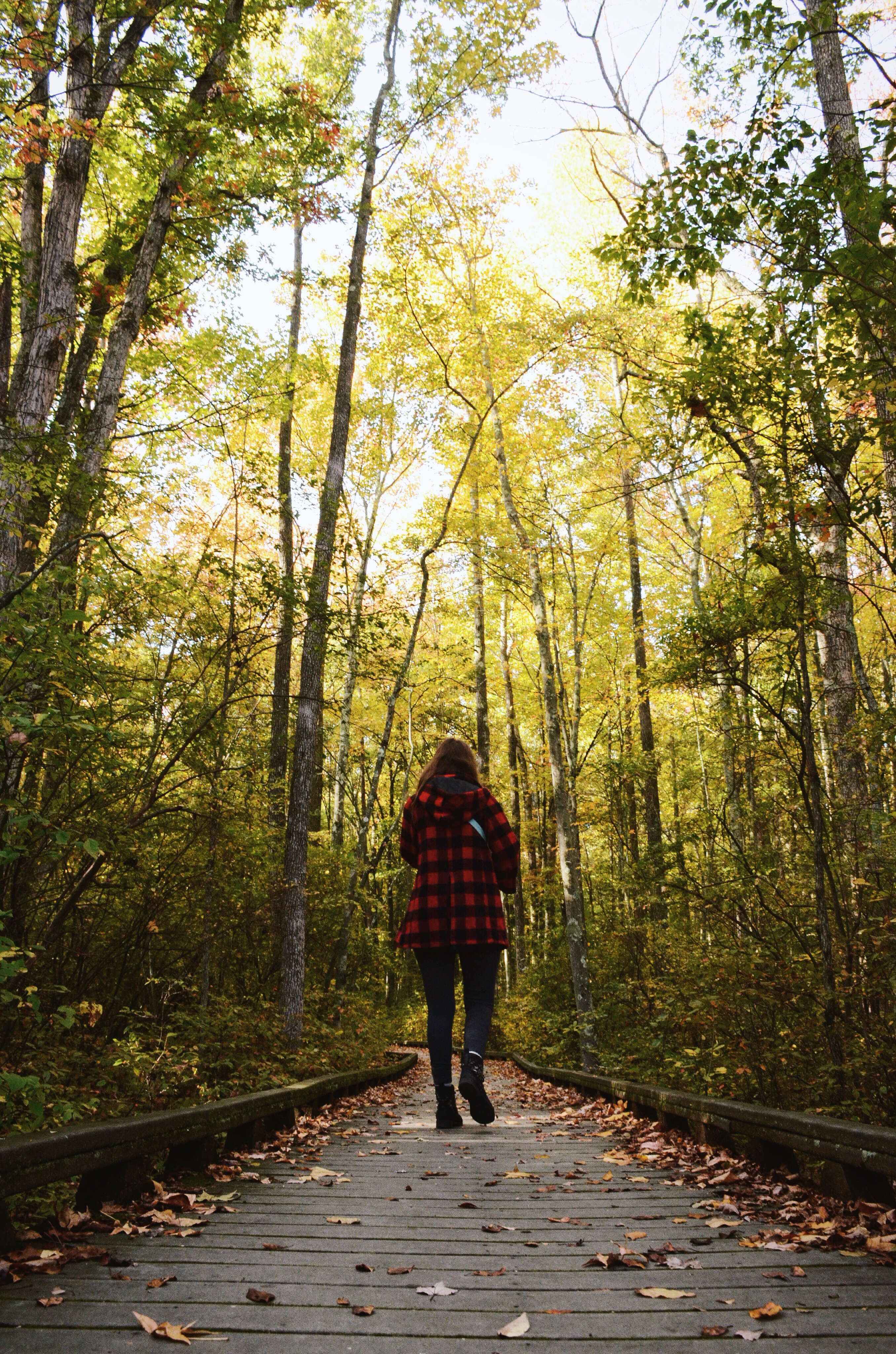 Great Swamp National Wildlife Refuge Loop
