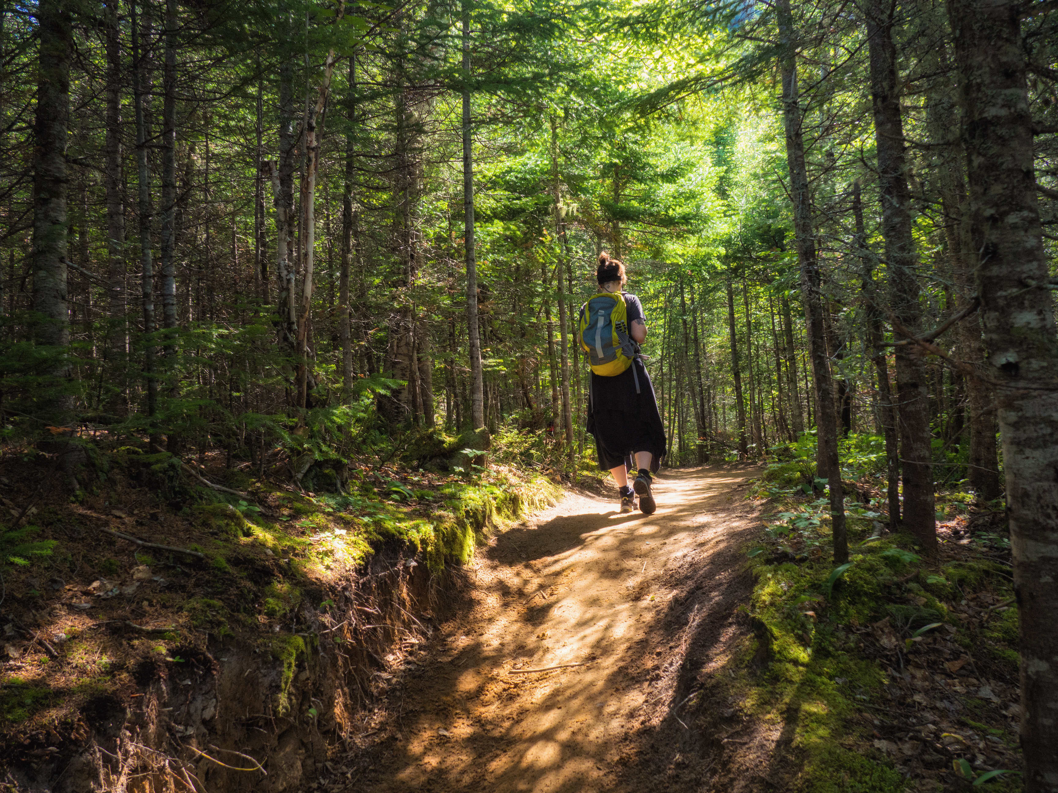 Hike L'Accropole-Des-Draveurs