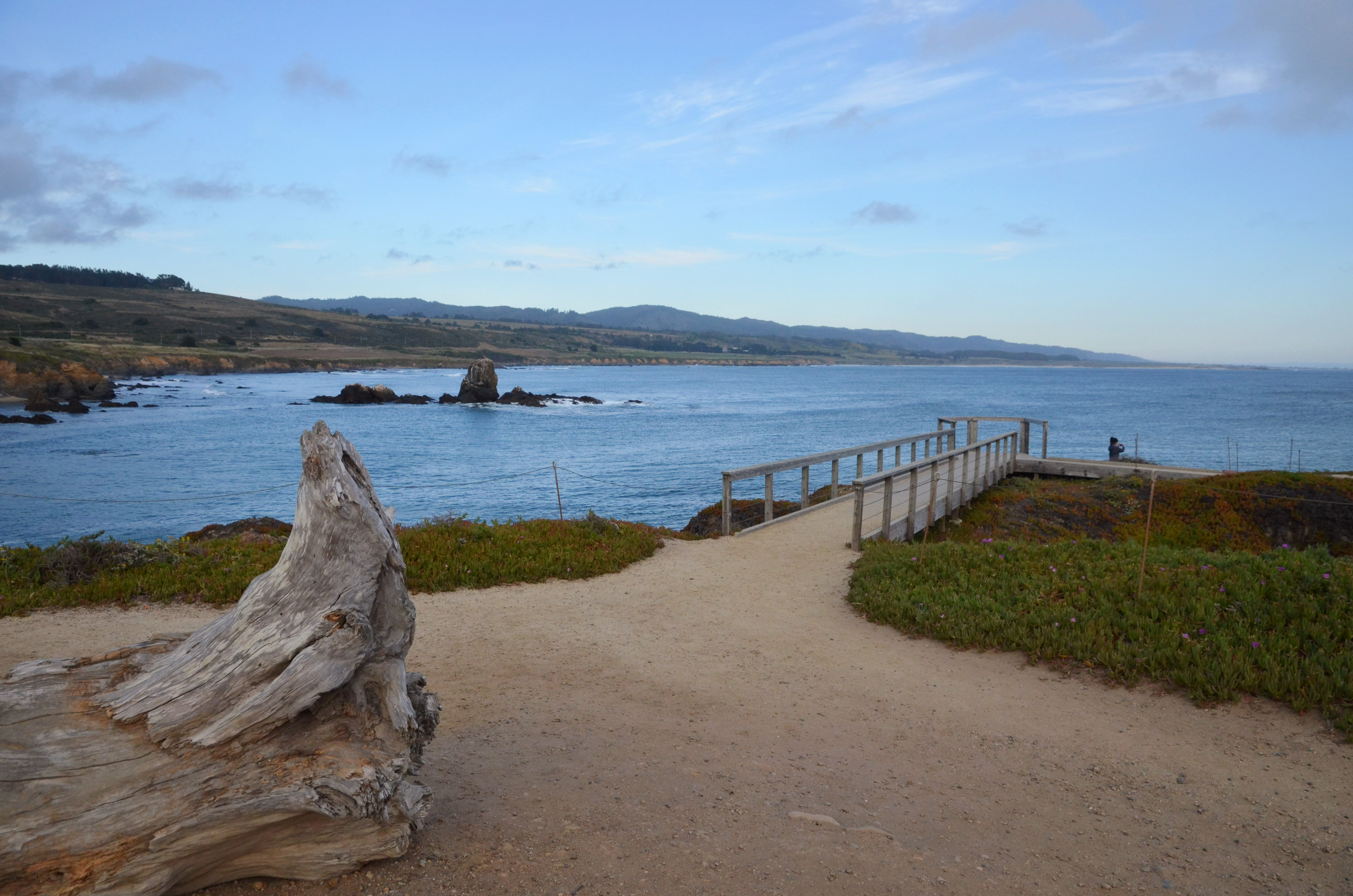 Pigeon Point Lighthouse