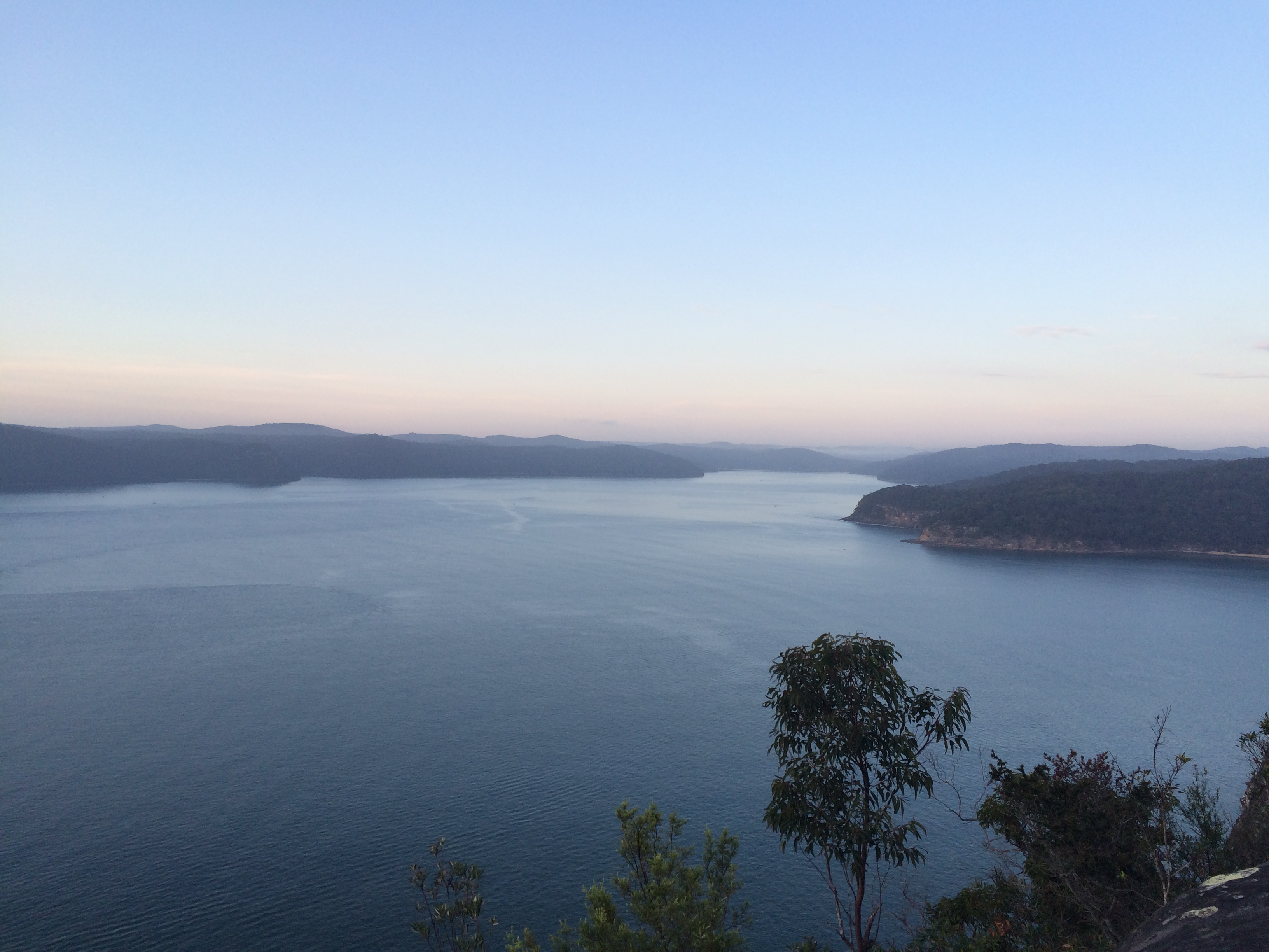 Warrah Lookout