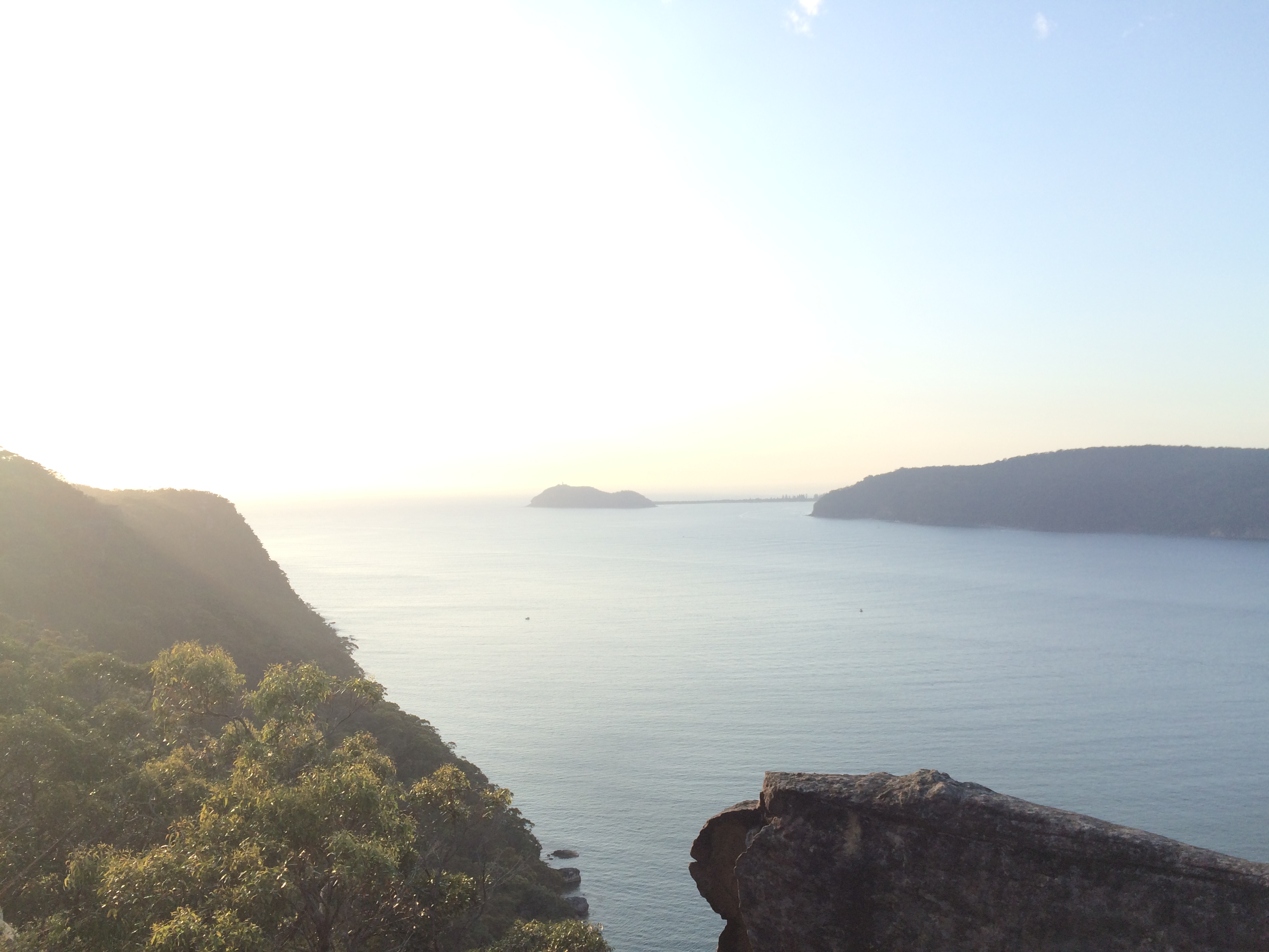 Warrah Lookout