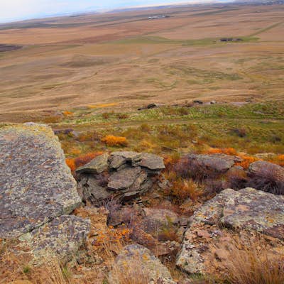 Hike the First Peoples Buffalo Jump Loop