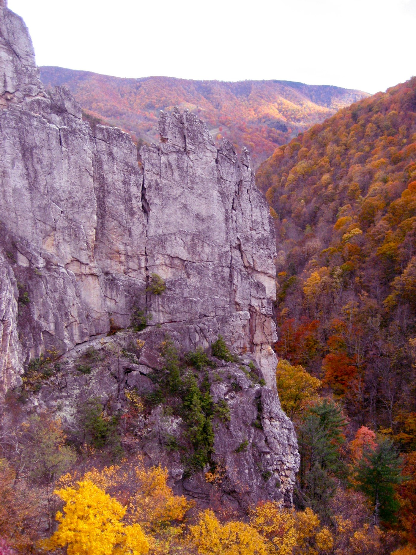 West Virginia Via Ferrata:  The Untold Story Behind The Fatalities - jz6dril
