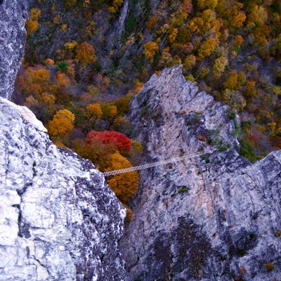 Via Ferrata climb in Nelson Rock, West Virginia