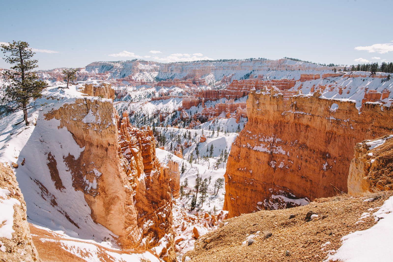 Wall Street Loop in Bryce Canyon