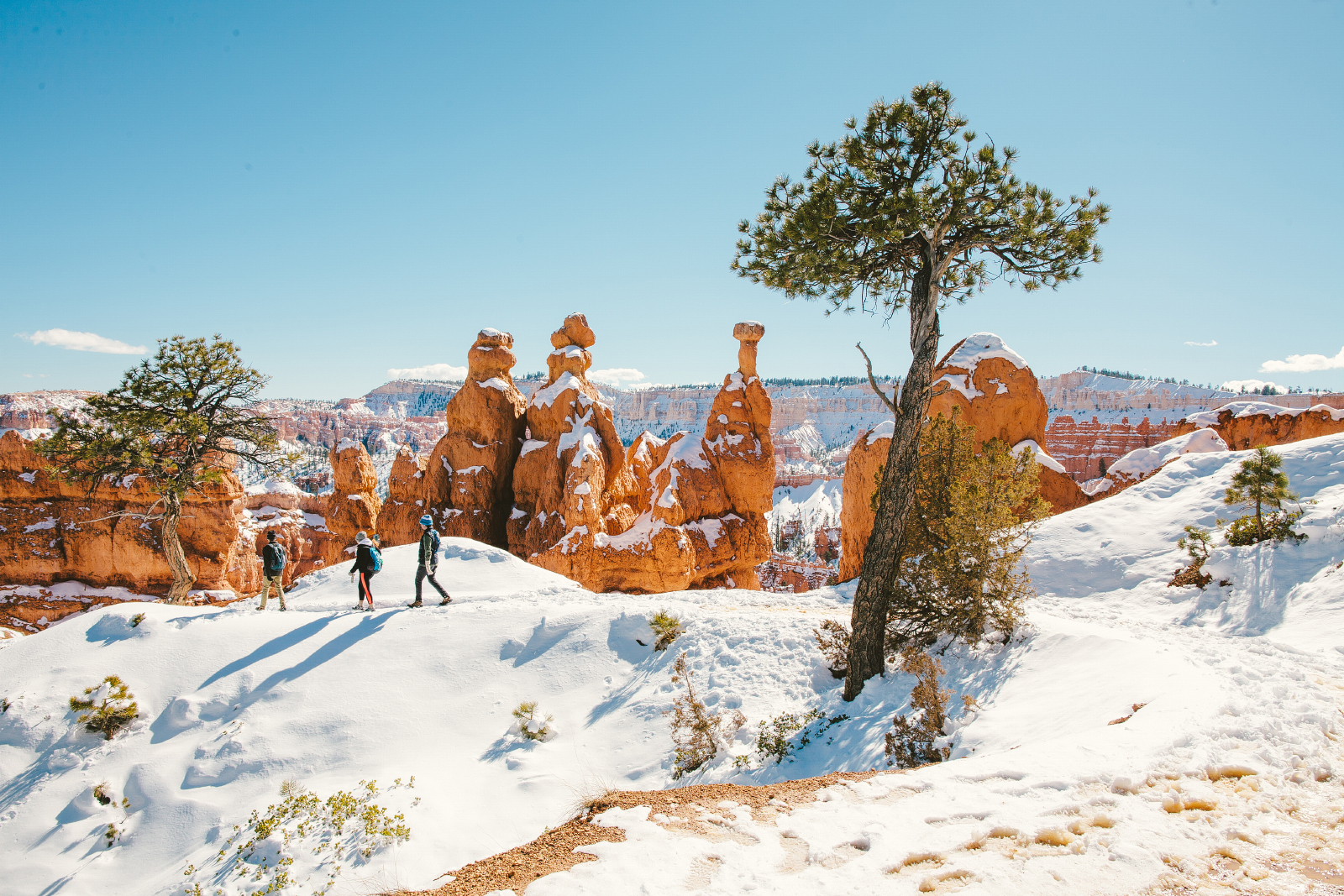 Wall Street Loop in Bryce Canyon