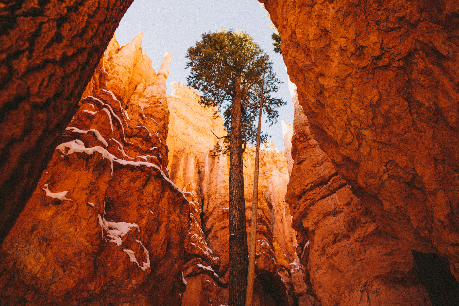 Wall Street Loop in Bryce Canyon