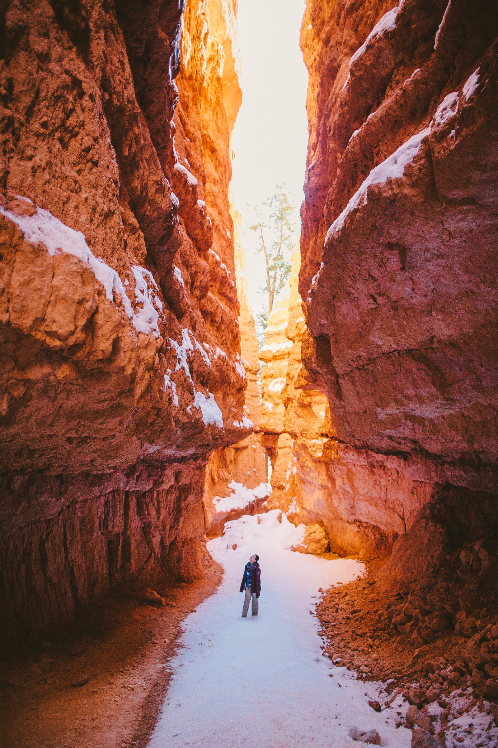 Wall Street Loop in Bryce Canyon