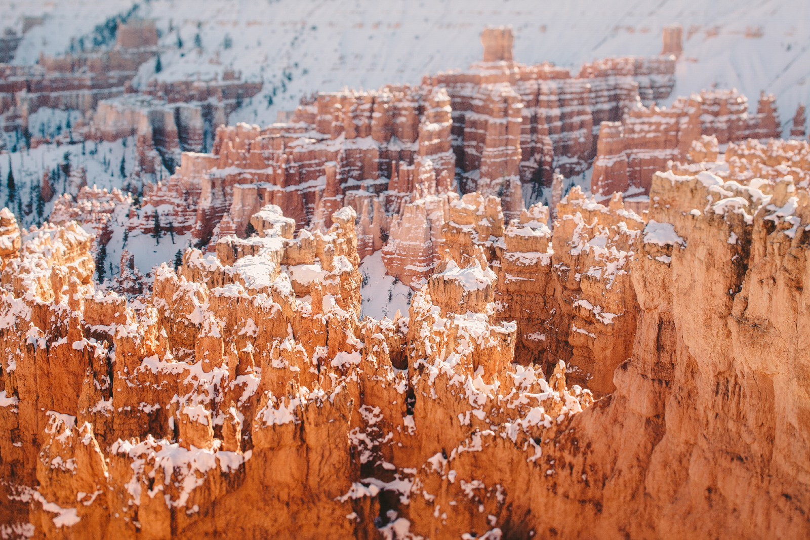 Wall Street Loop in Bryce Canyon