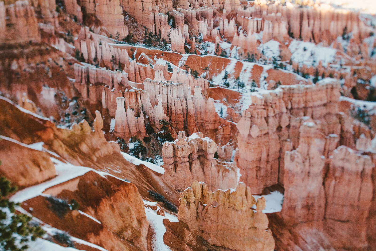 Wall Street Loop in Bryce Canyon