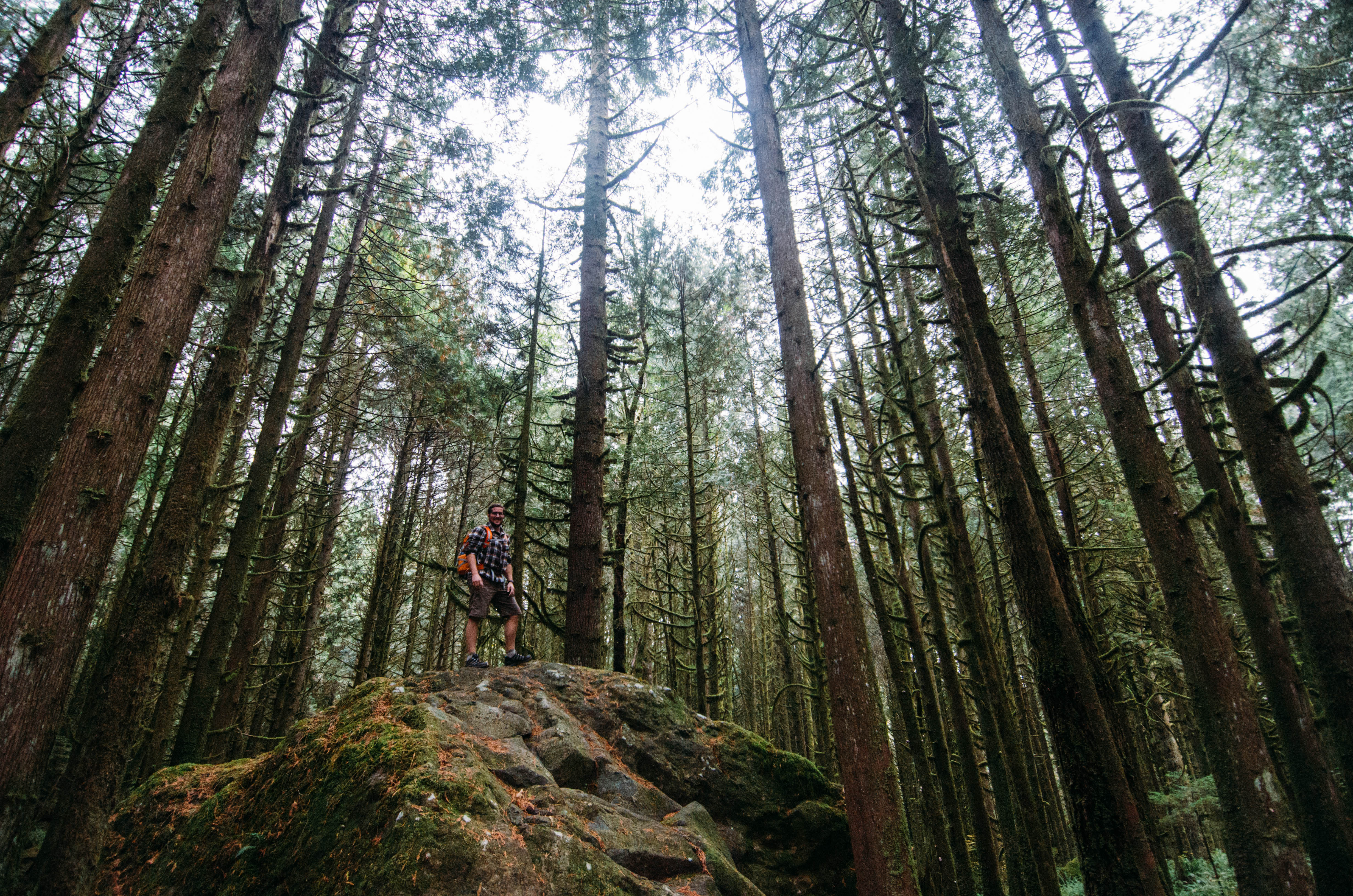 Hike to Lower Falls in Golden Ears Provincial Park