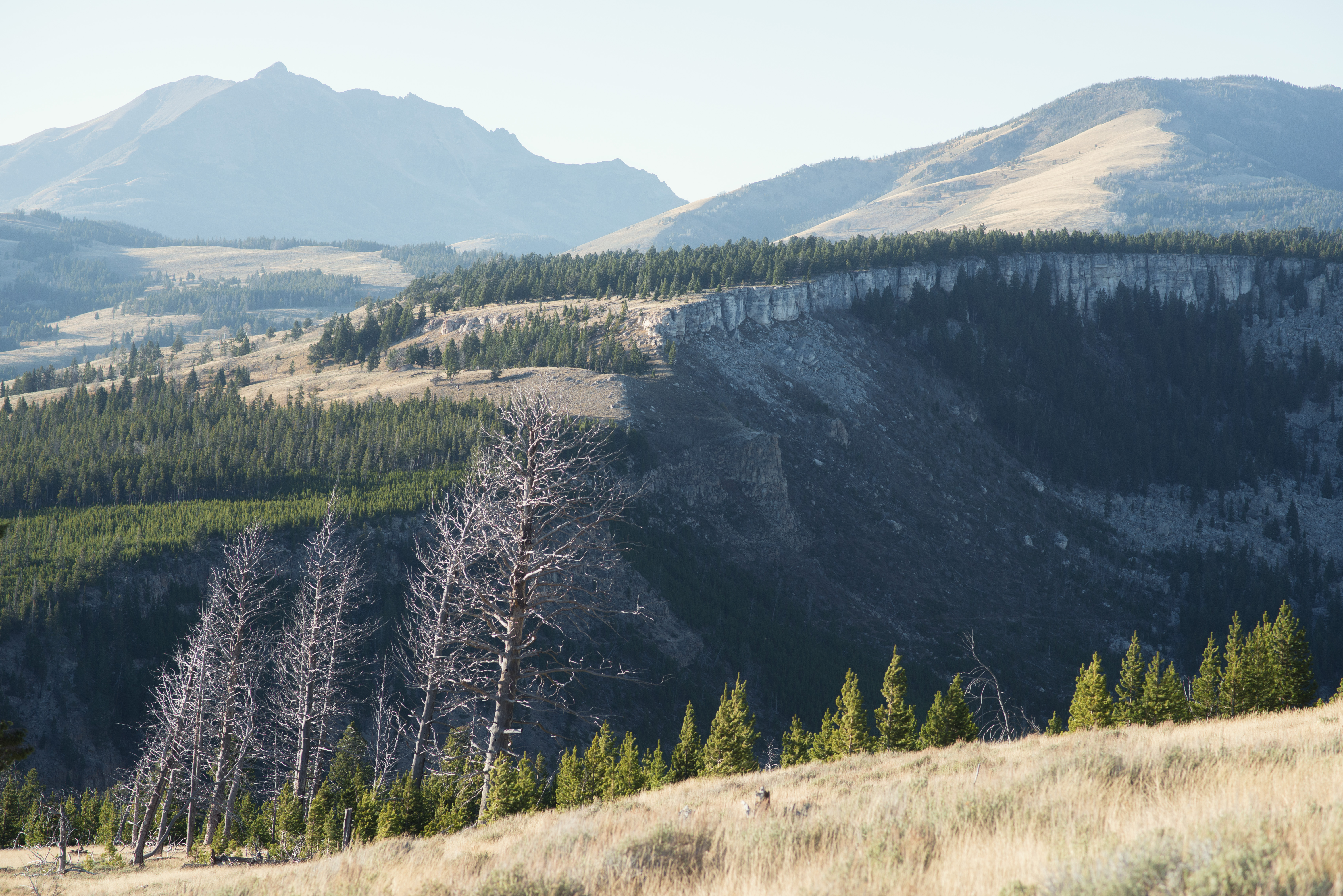 Hike Bunsen Peak