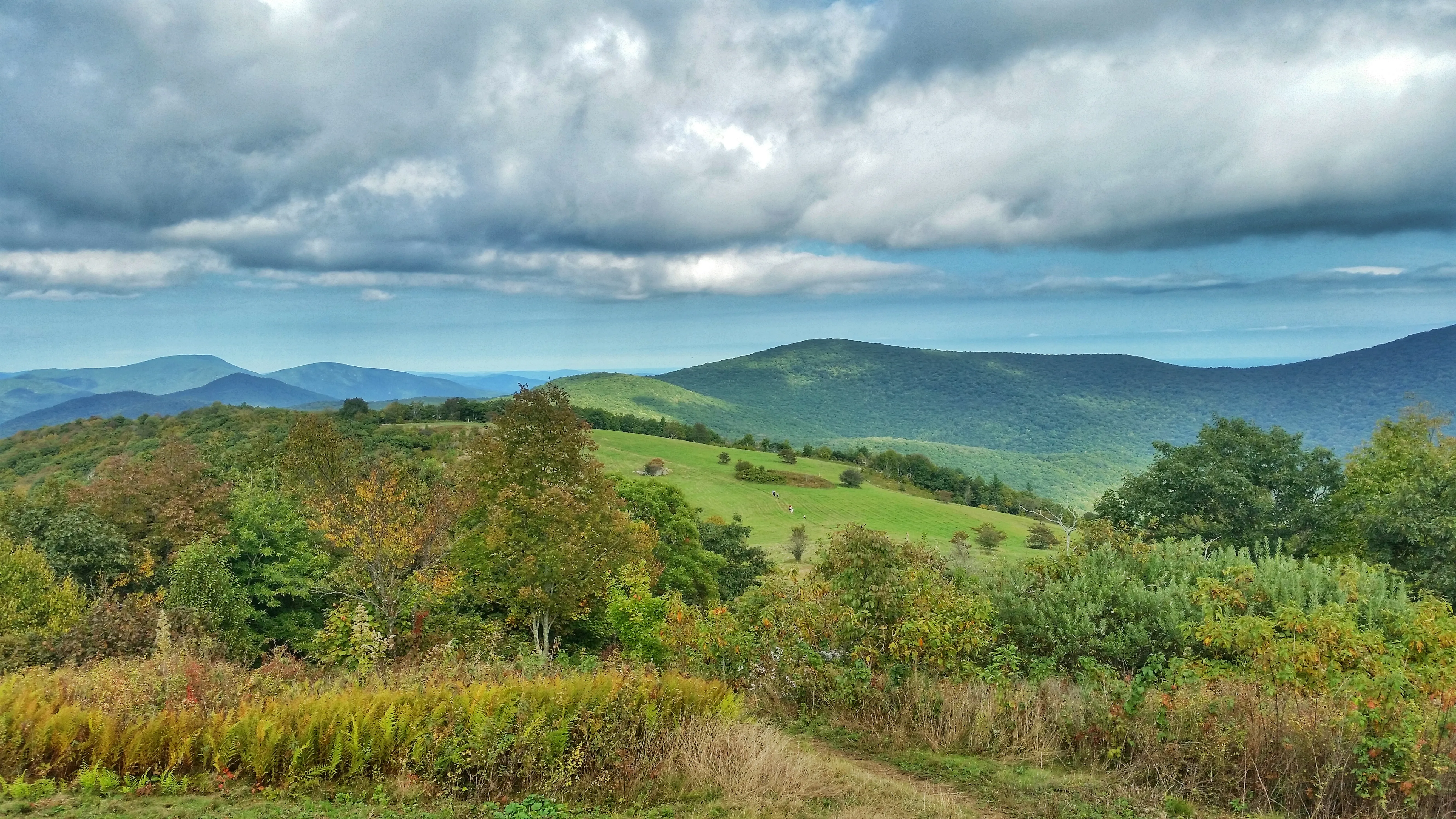 Cole Mountain Loop