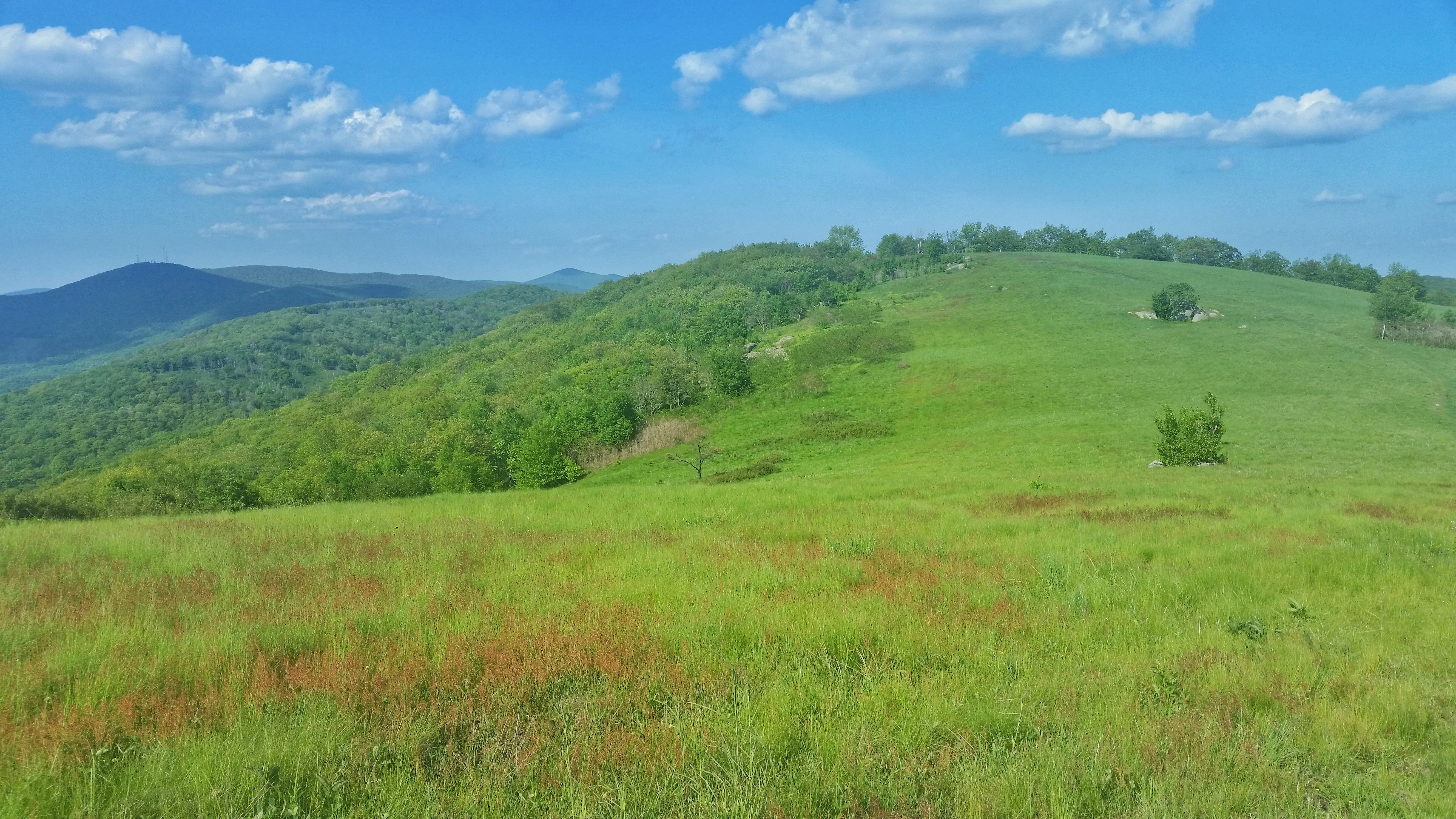 Cole Mountain Loop