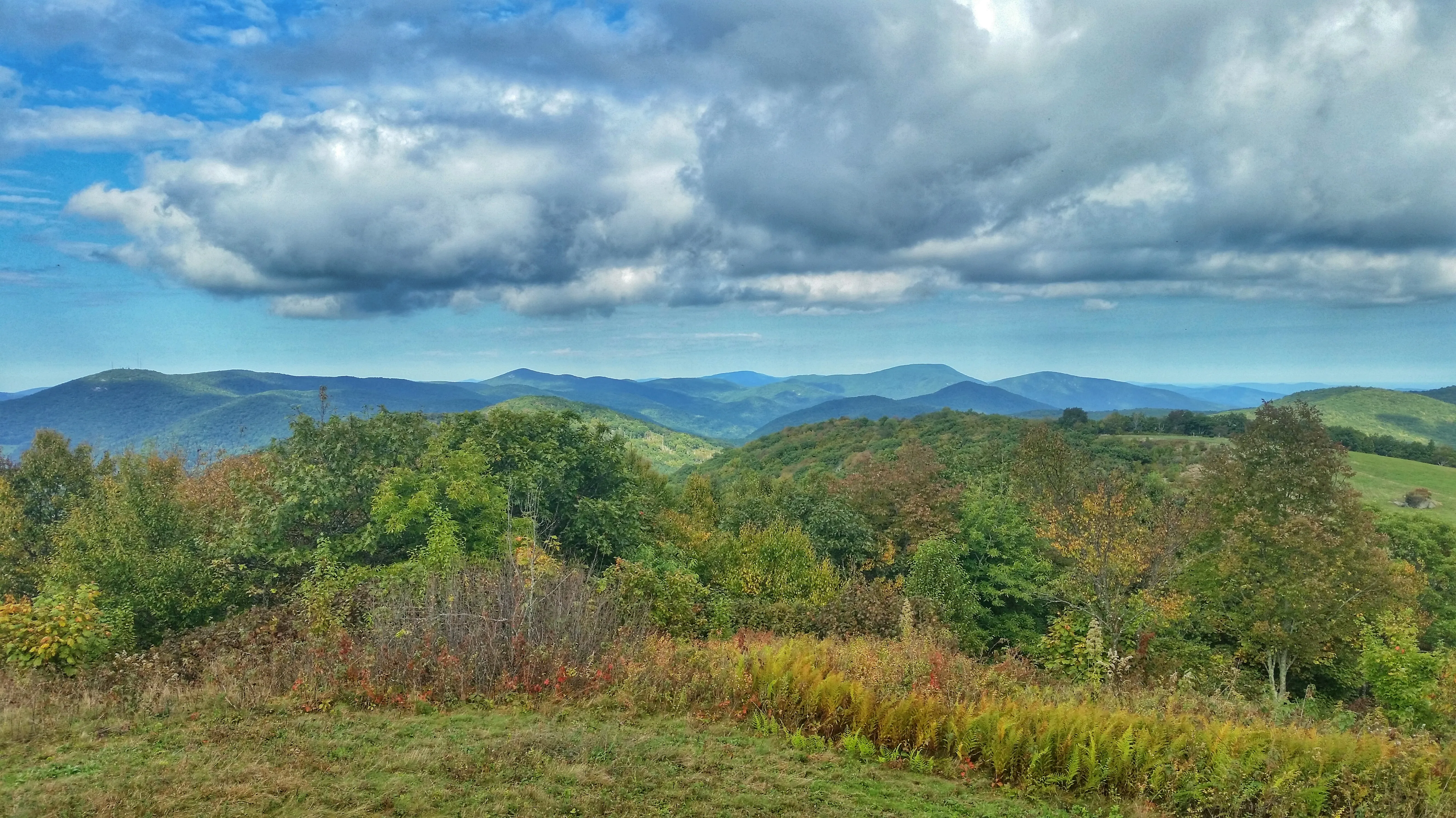 Cole Mountain Loop