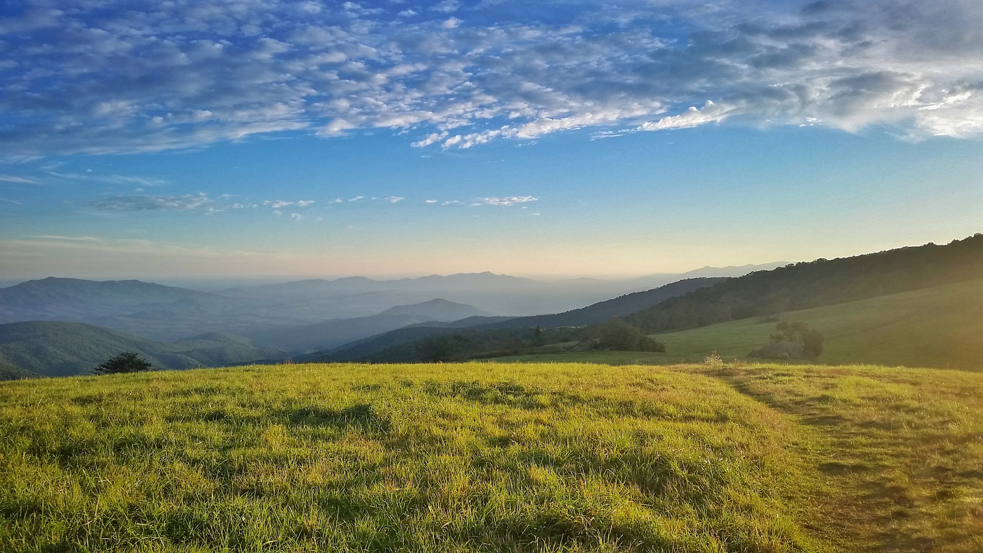 Cole Mountain Loop