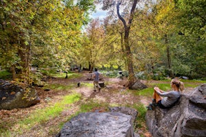 Banjo Bill Picnic Area