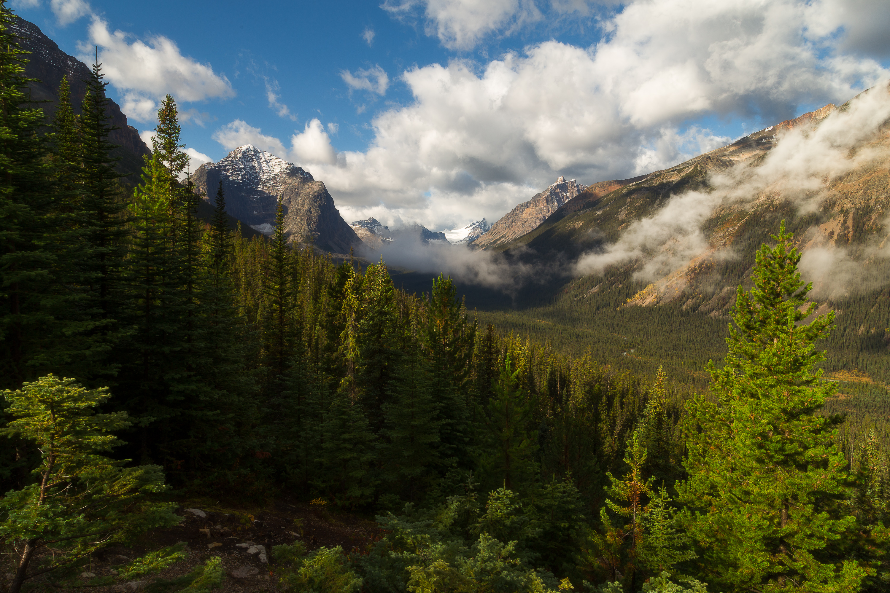 Explore Cavell Lake In Jasper National Park