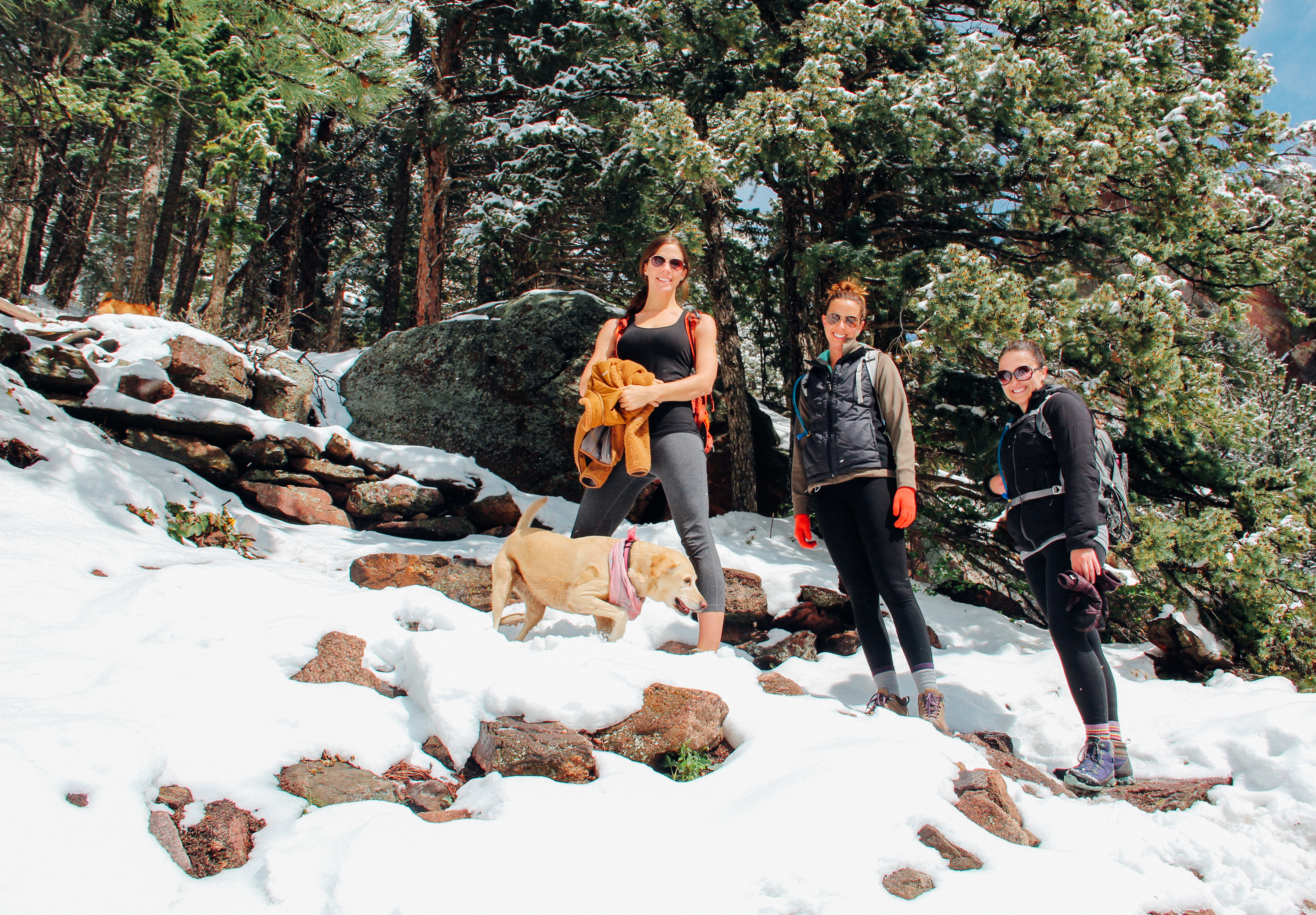 Hike Bear Peak