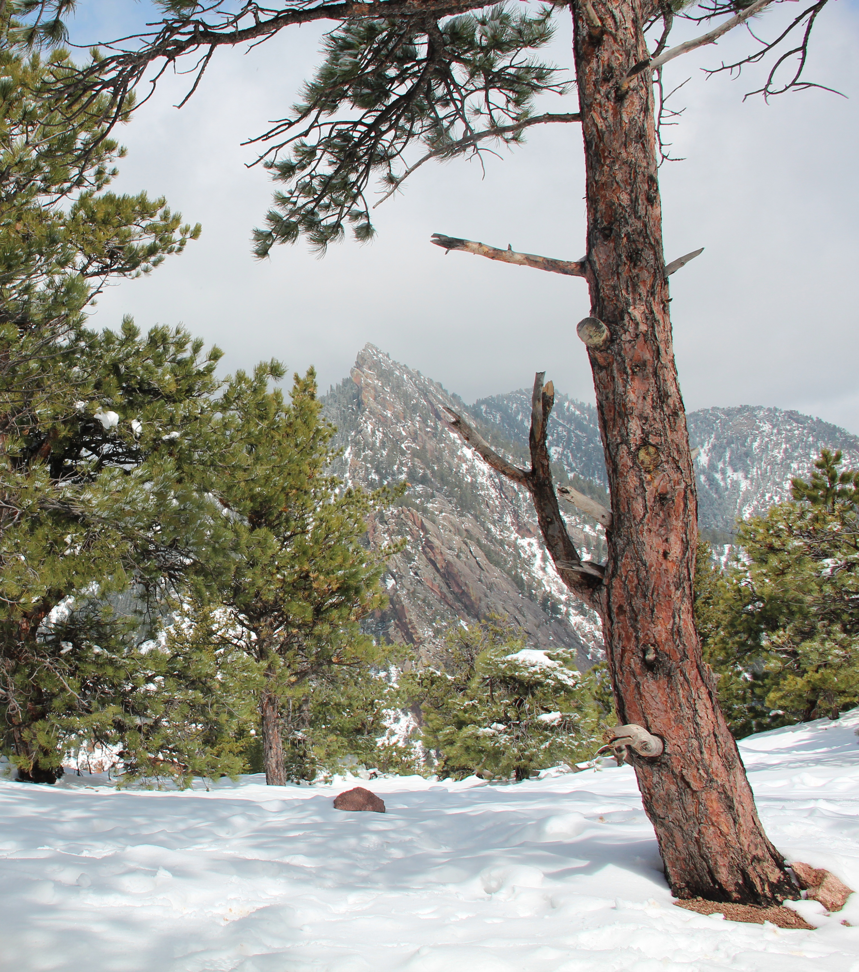 Hike Bear Peak