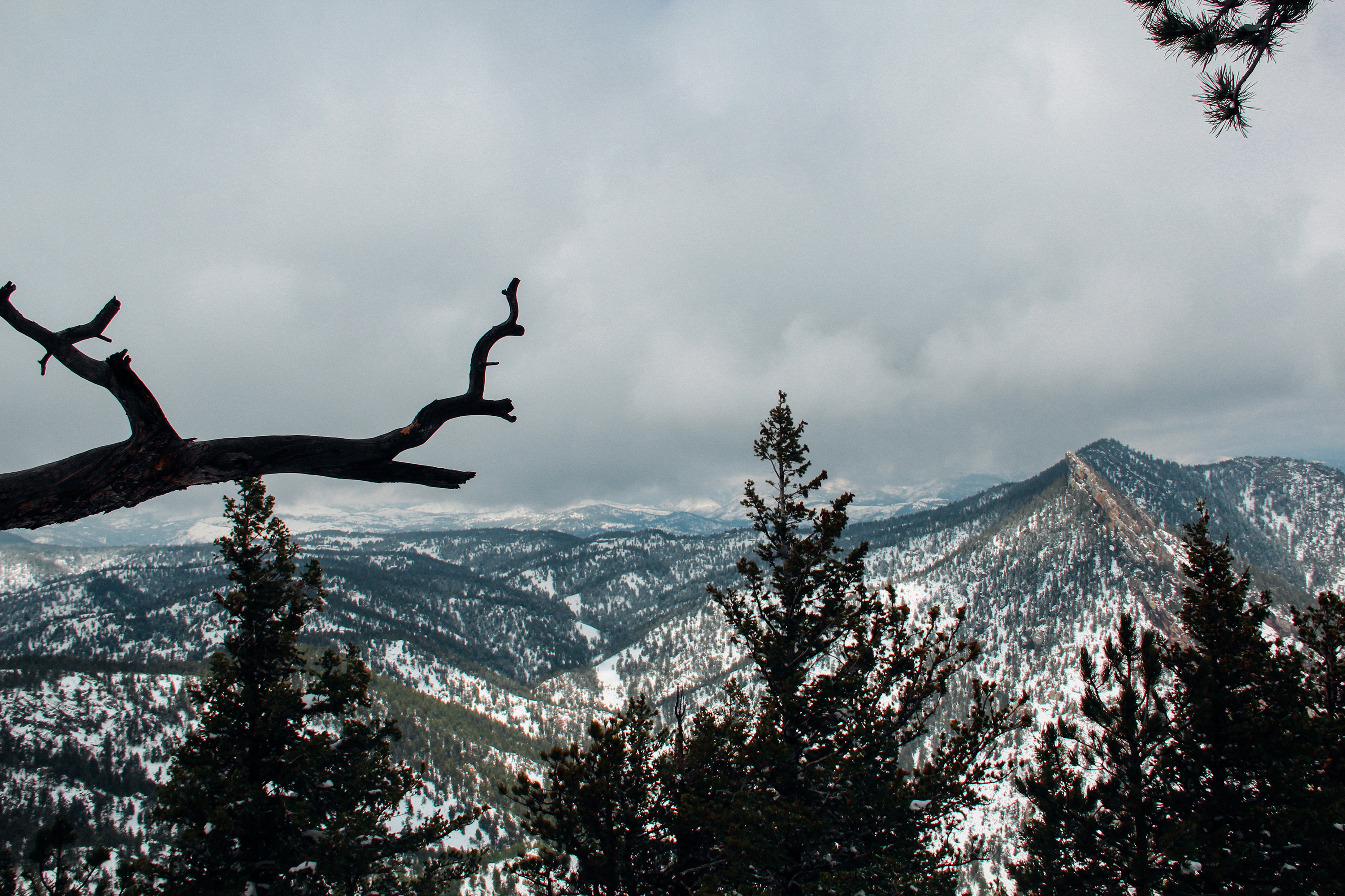 Hike Bear Peak