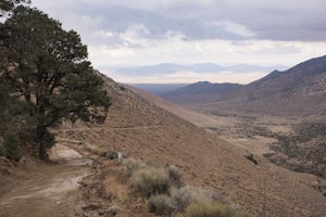 Off-Road to McIver's Cabin