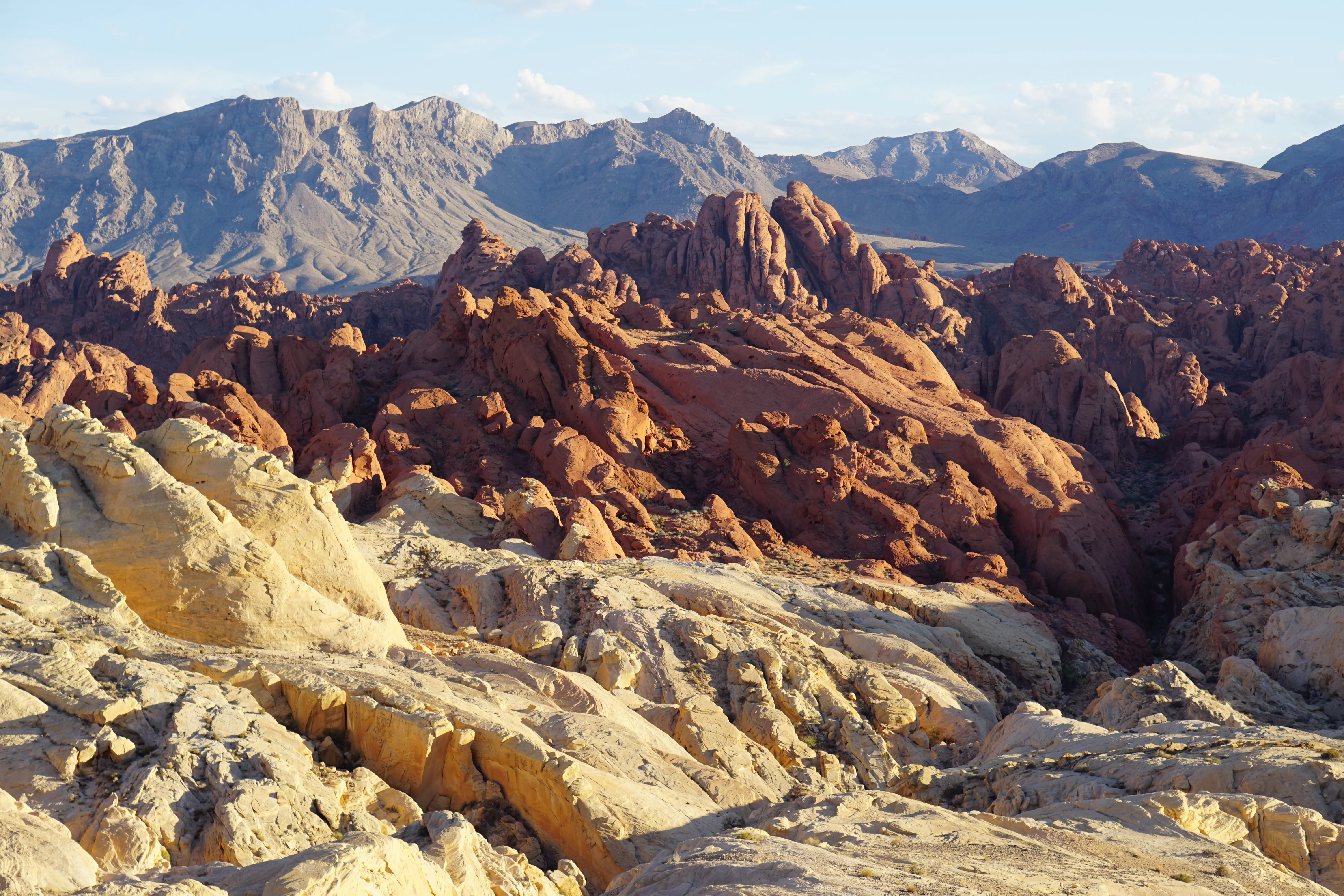 Exploring The Valley Of Fire