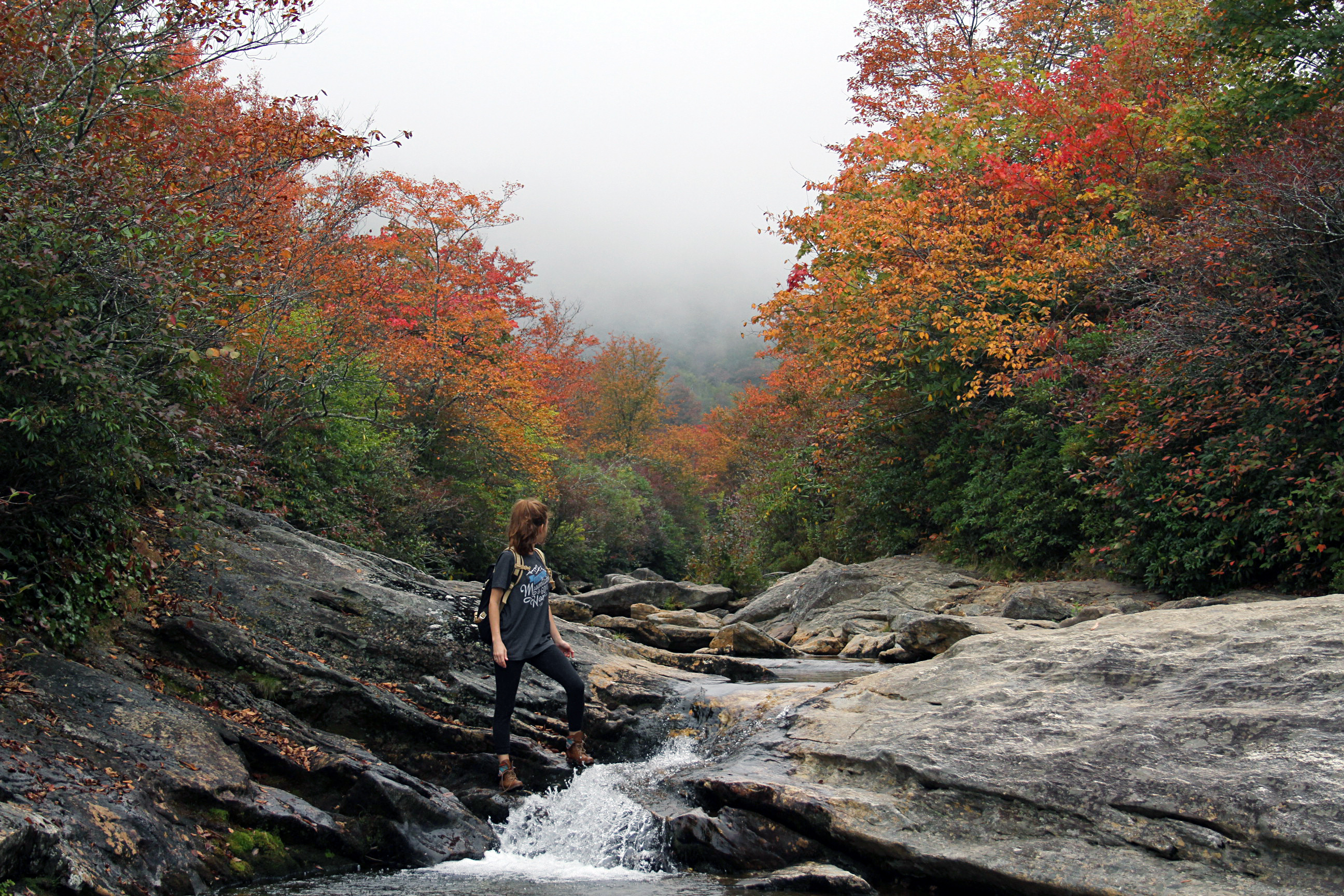 Lower Falls At Graveyard Fields, Canton, North Carolina