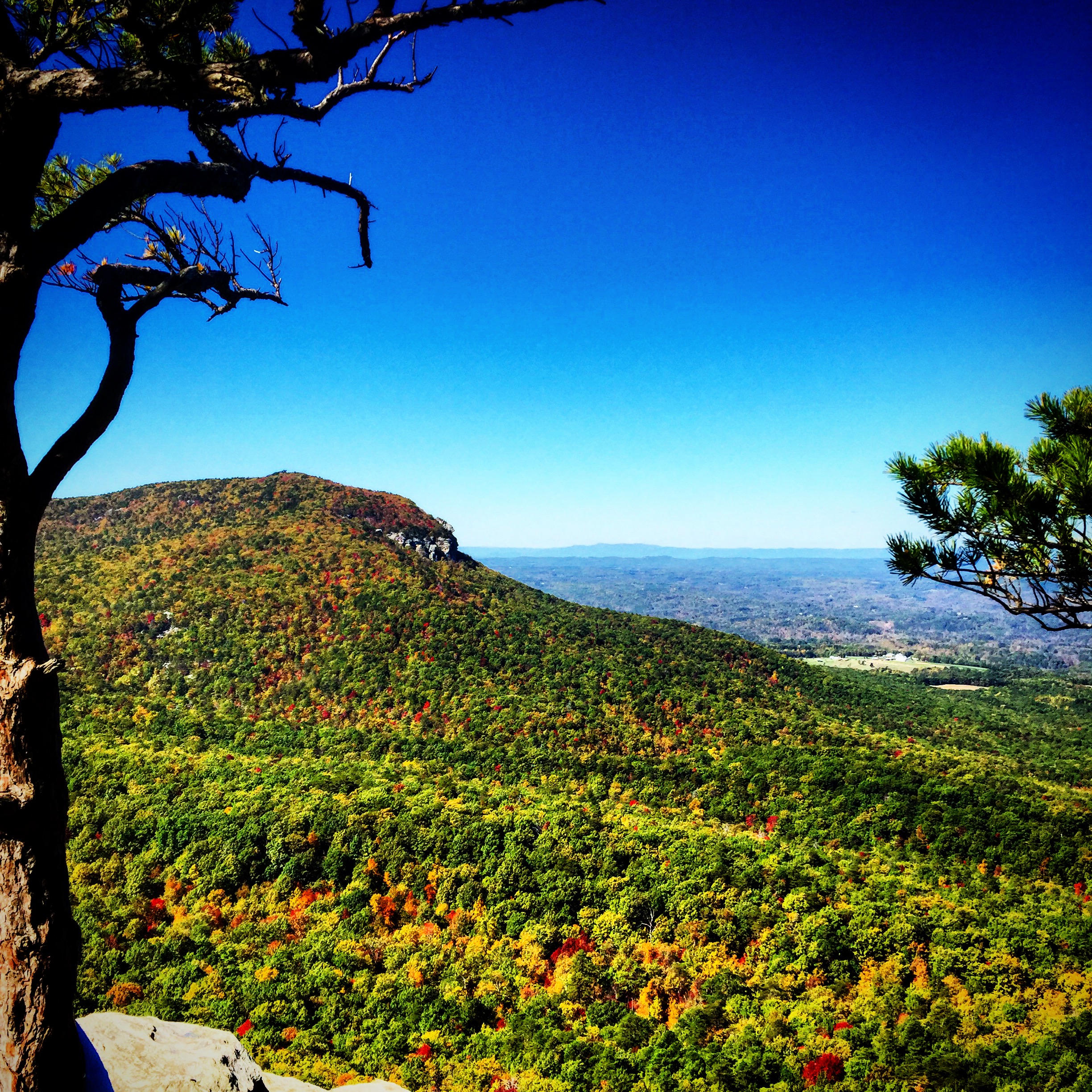 Hanging Rock and Cole Gap Mountain Loop