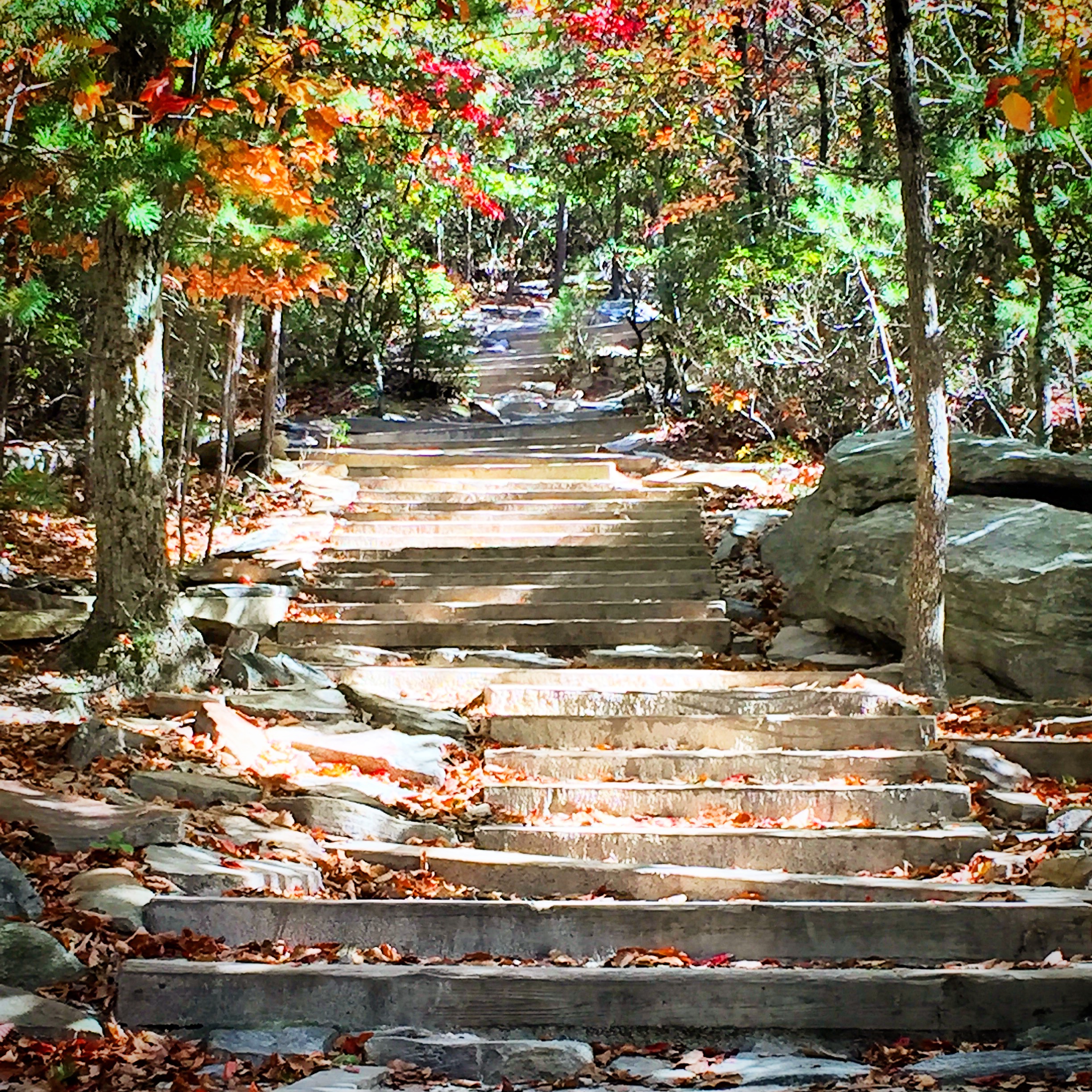 Hanging Rock and Cole Gap Mountain Loop
