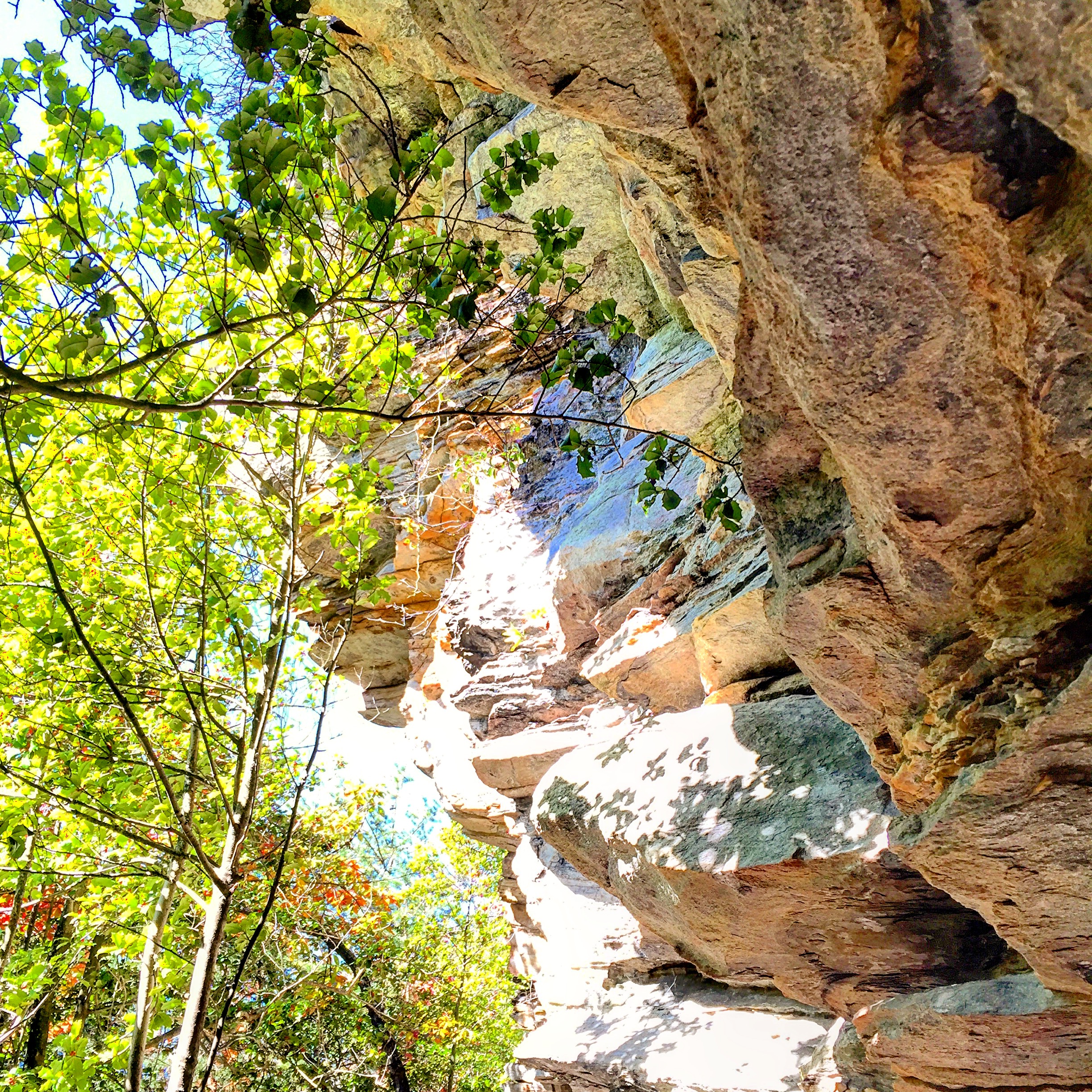 Hanging Rock and Cole Gap Mountain Loop