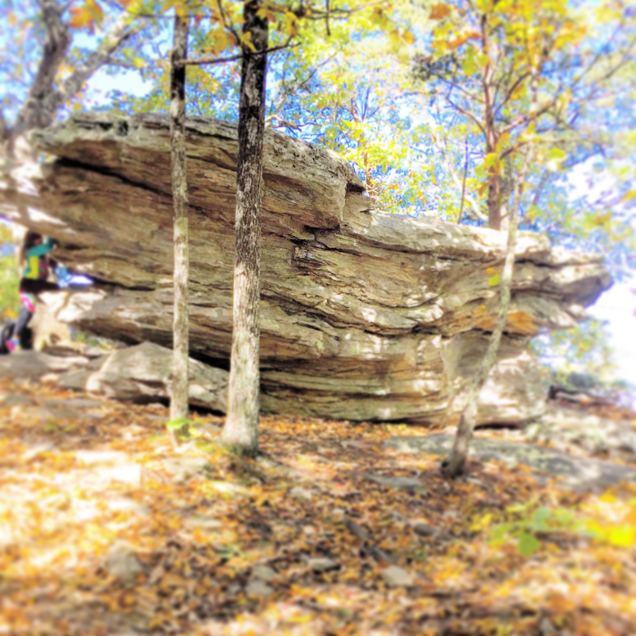 Hanging Rock and Cole Gap Mountain Loop
