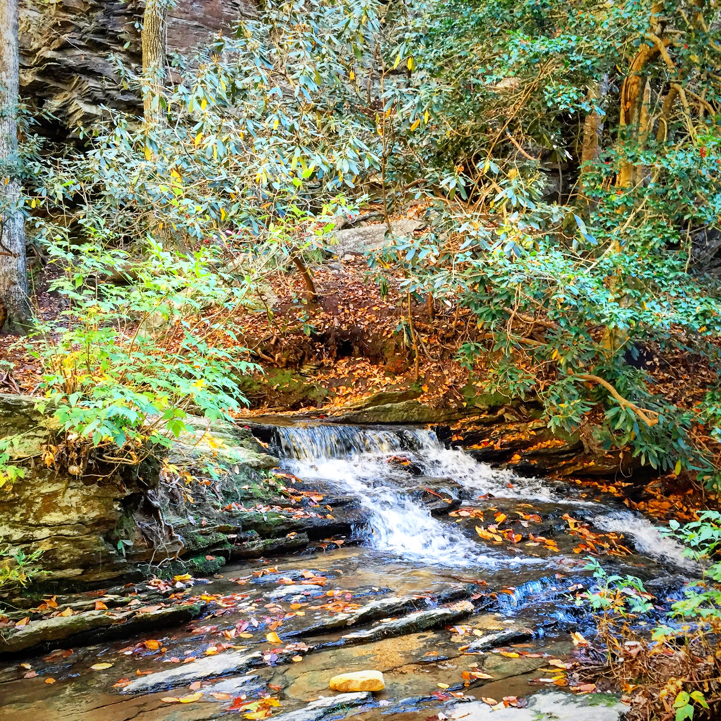 Lower Cascade Falls