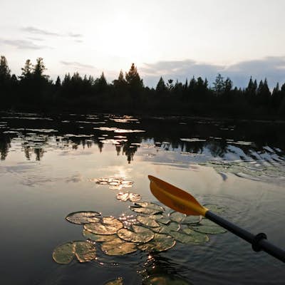 Canoe or Kayak the Ensign and Birch Lake Loop
