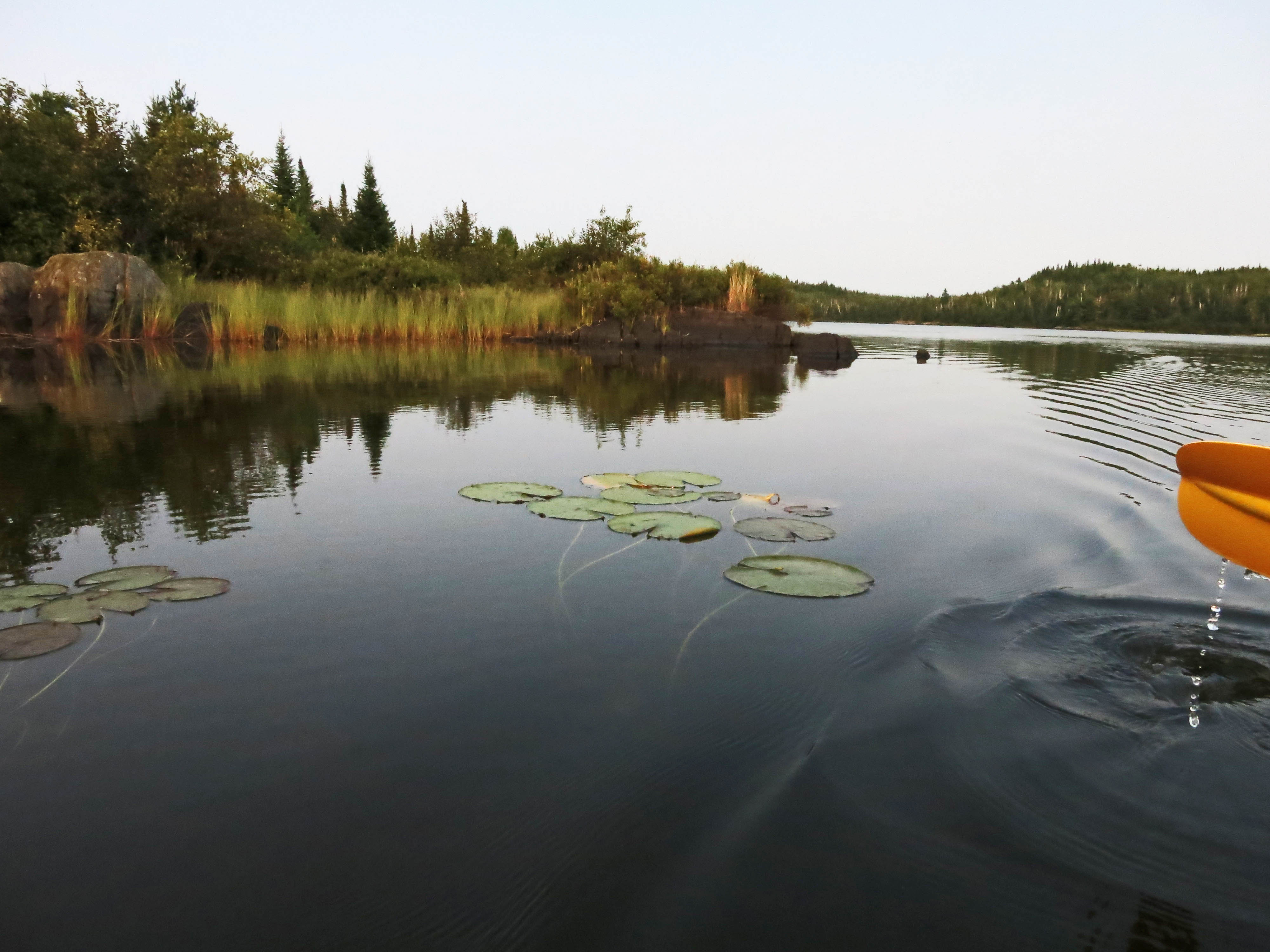 Canoe or Kayak the Ensign and Birch Lake Loop
