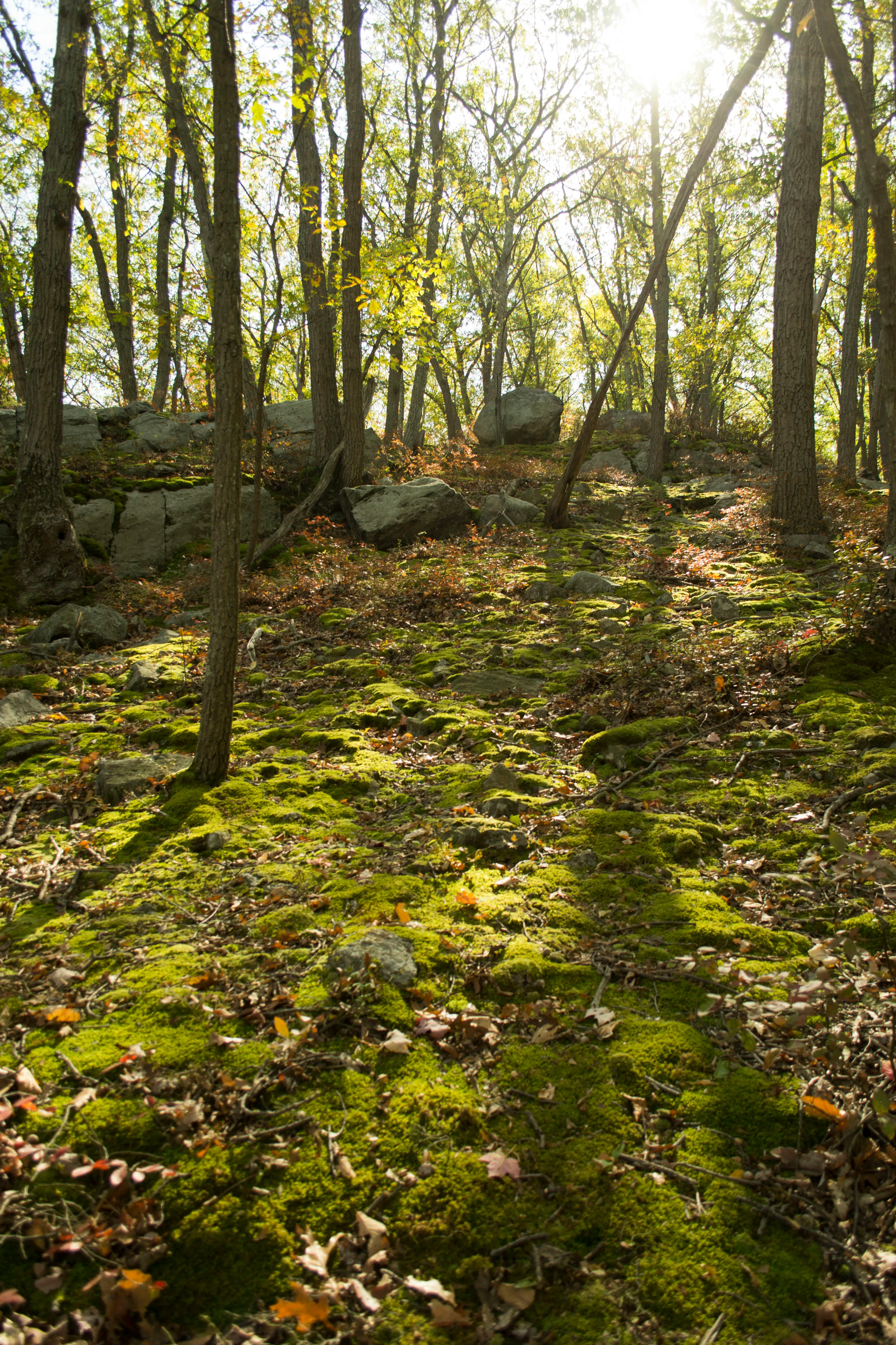 Hike Bald Mountain, Bear Mountain State Park