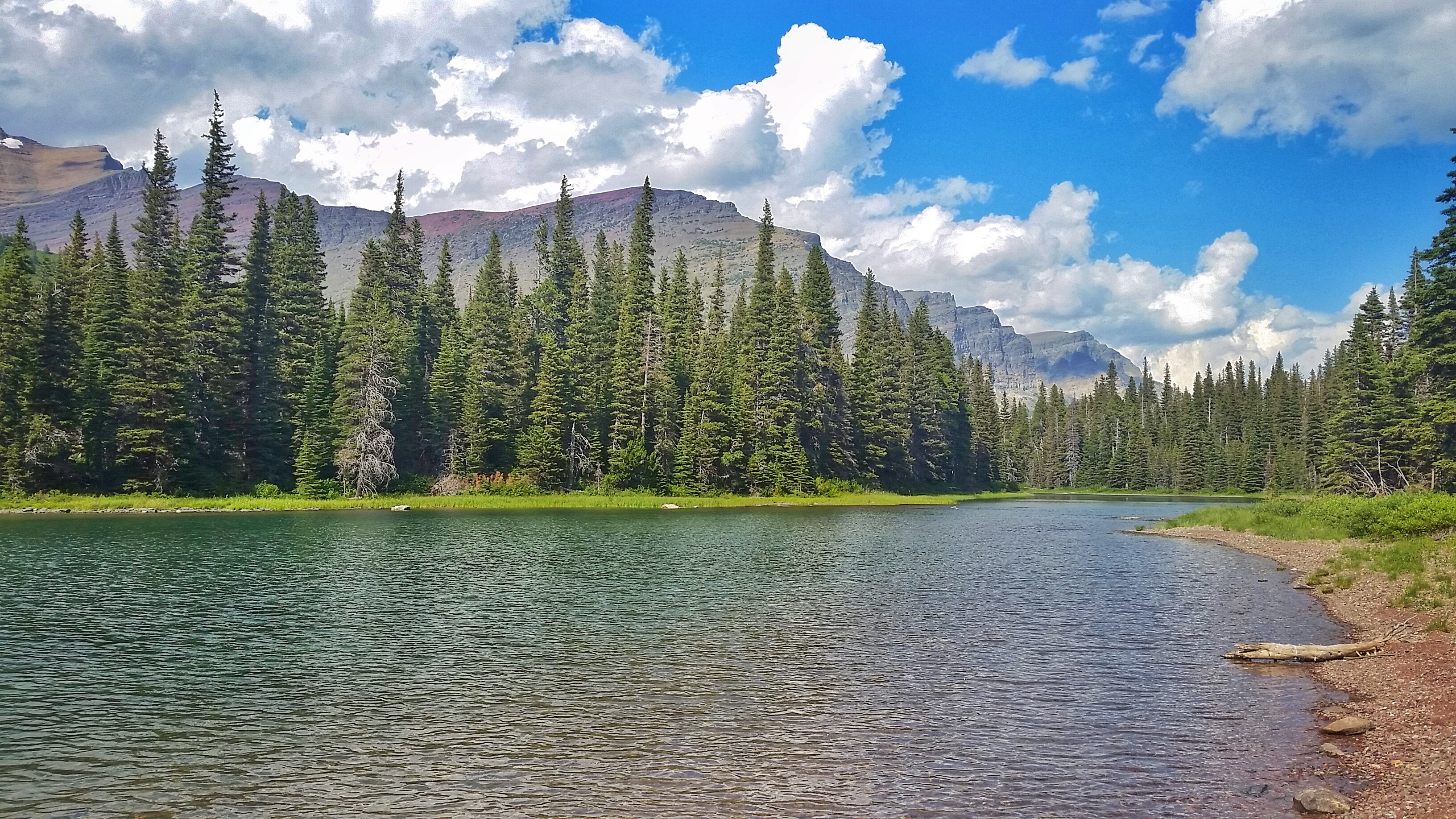 Walk the Swiftcurrent Nature Trail, Glacier National Park
