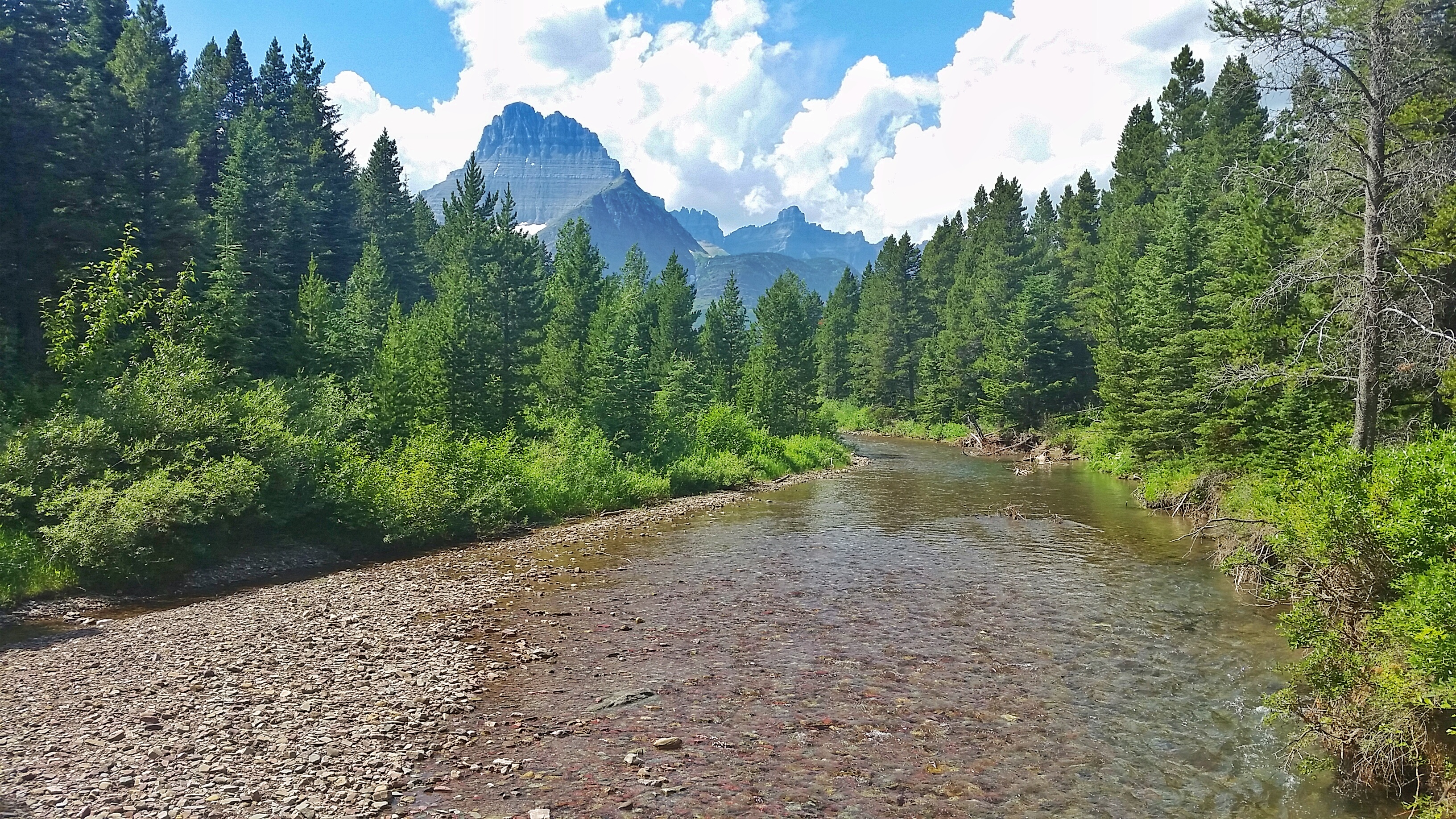 Walk the Swiftcurrent Nature Trail, Glacier National Park