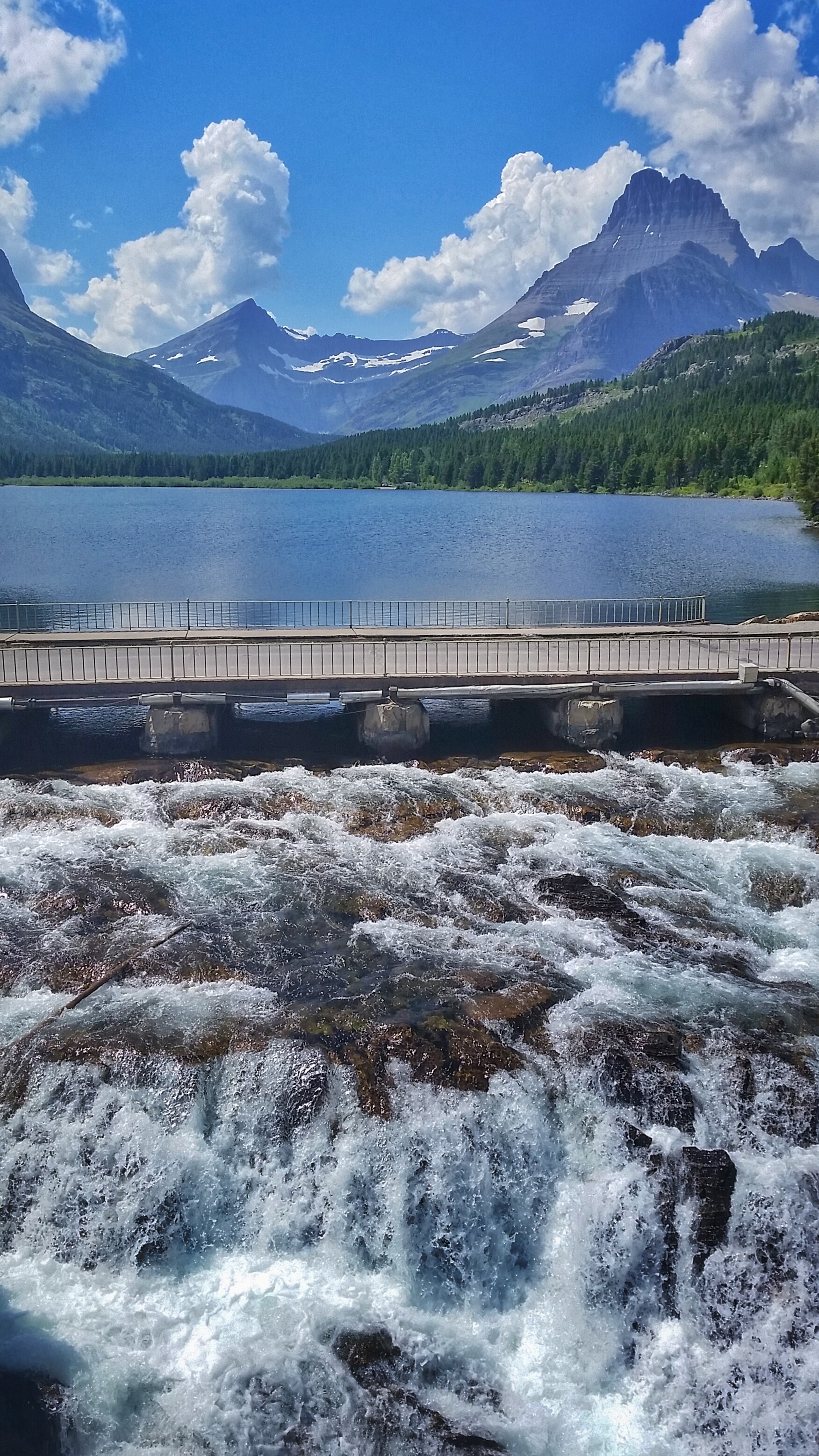 Walk the Swiftcurrent Nature Trail, Glacier National Park