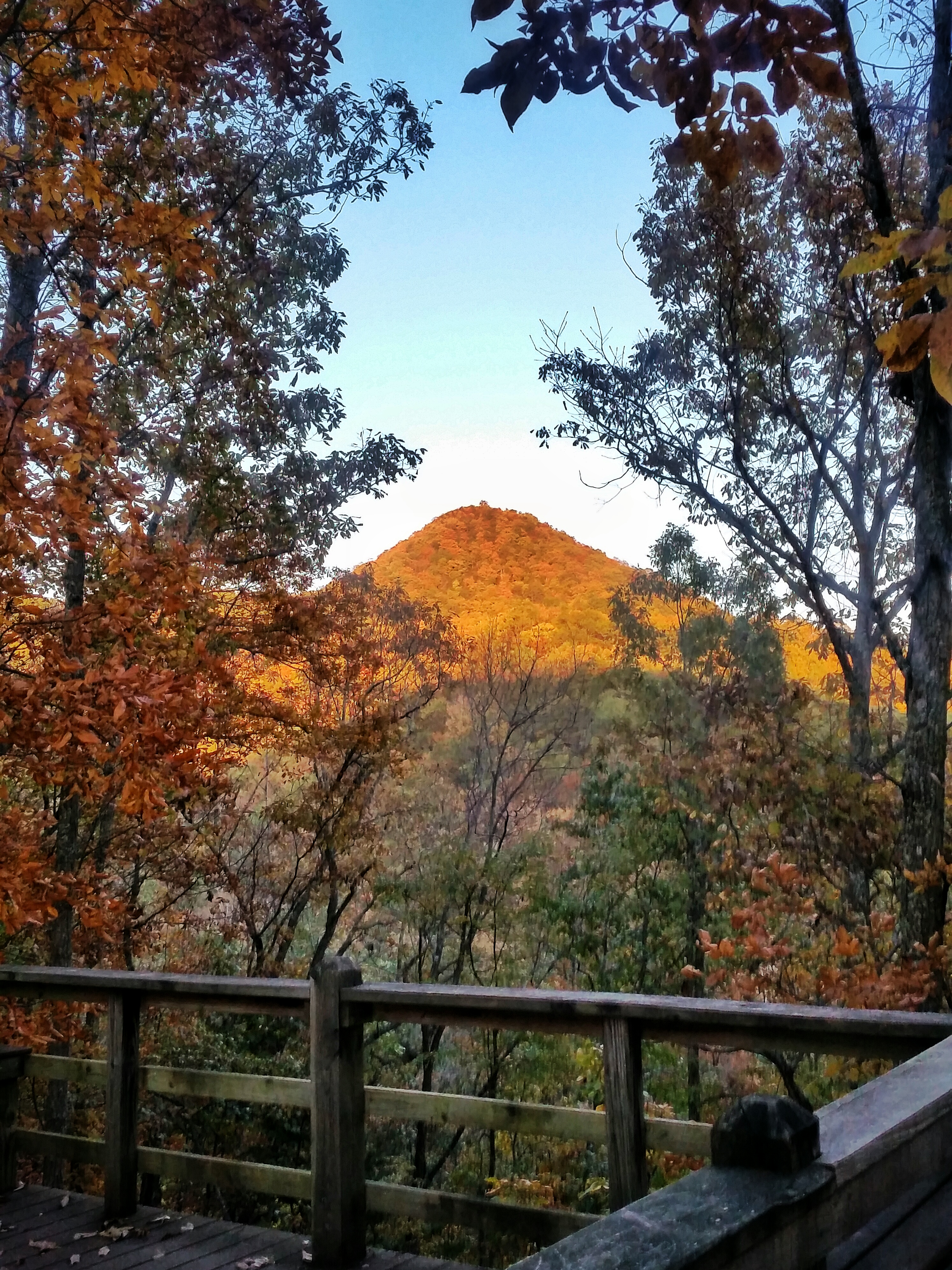 Hike Molly's Knob