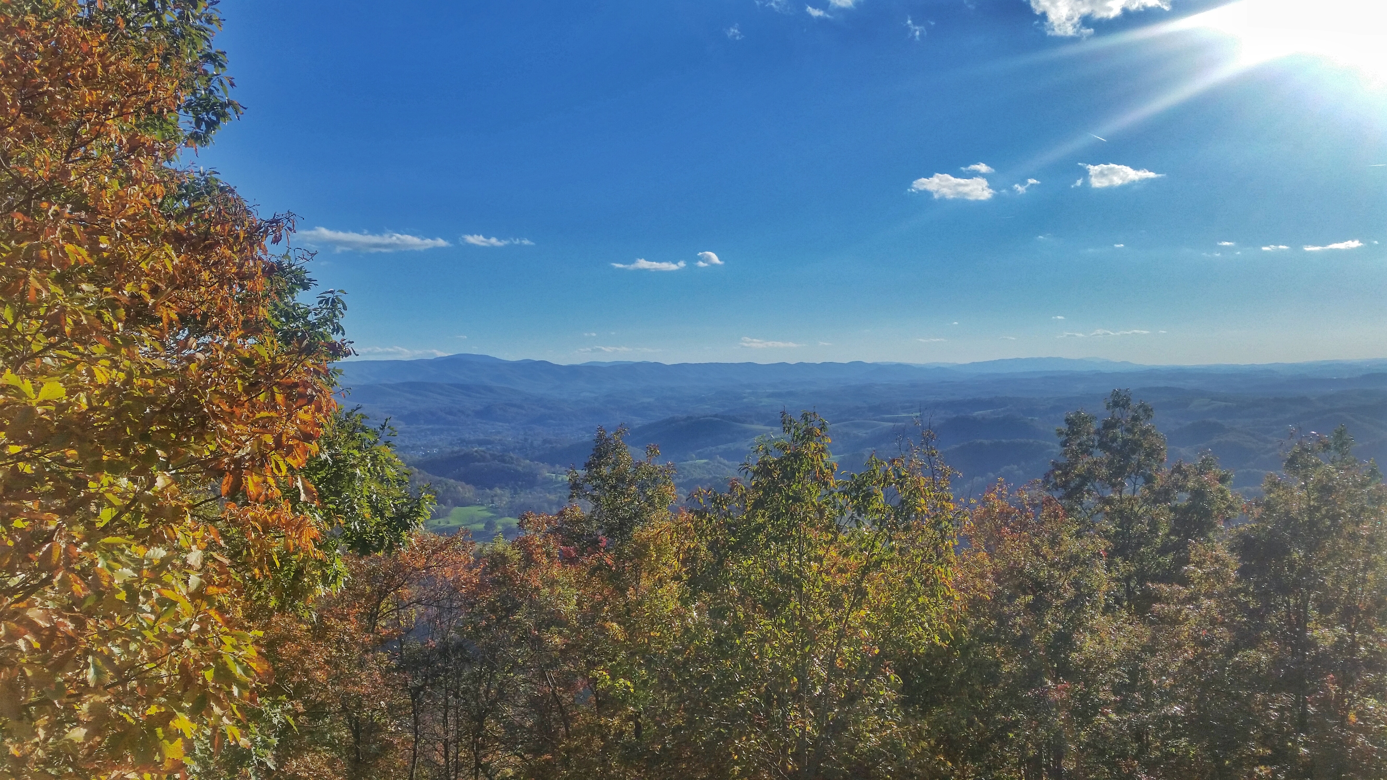 Hike Molly's Knob