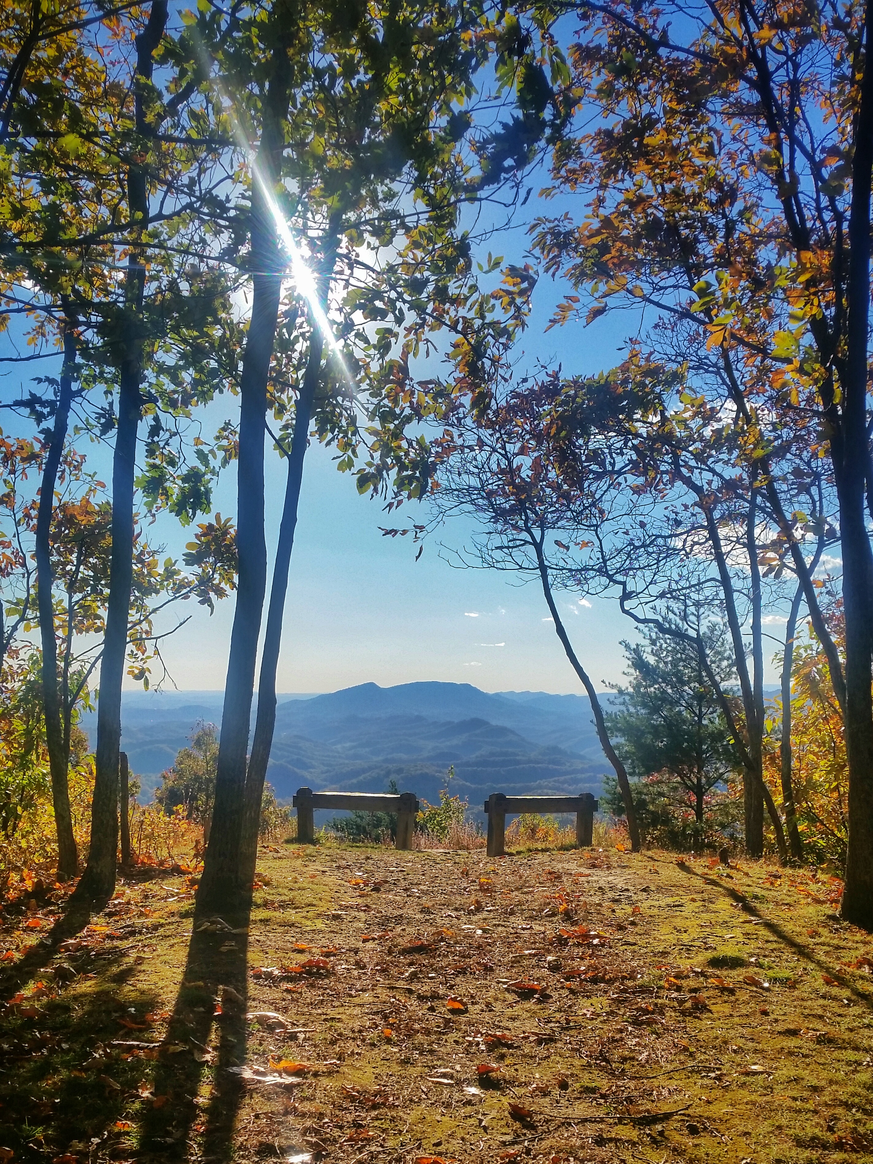 Hike Molly's Knob