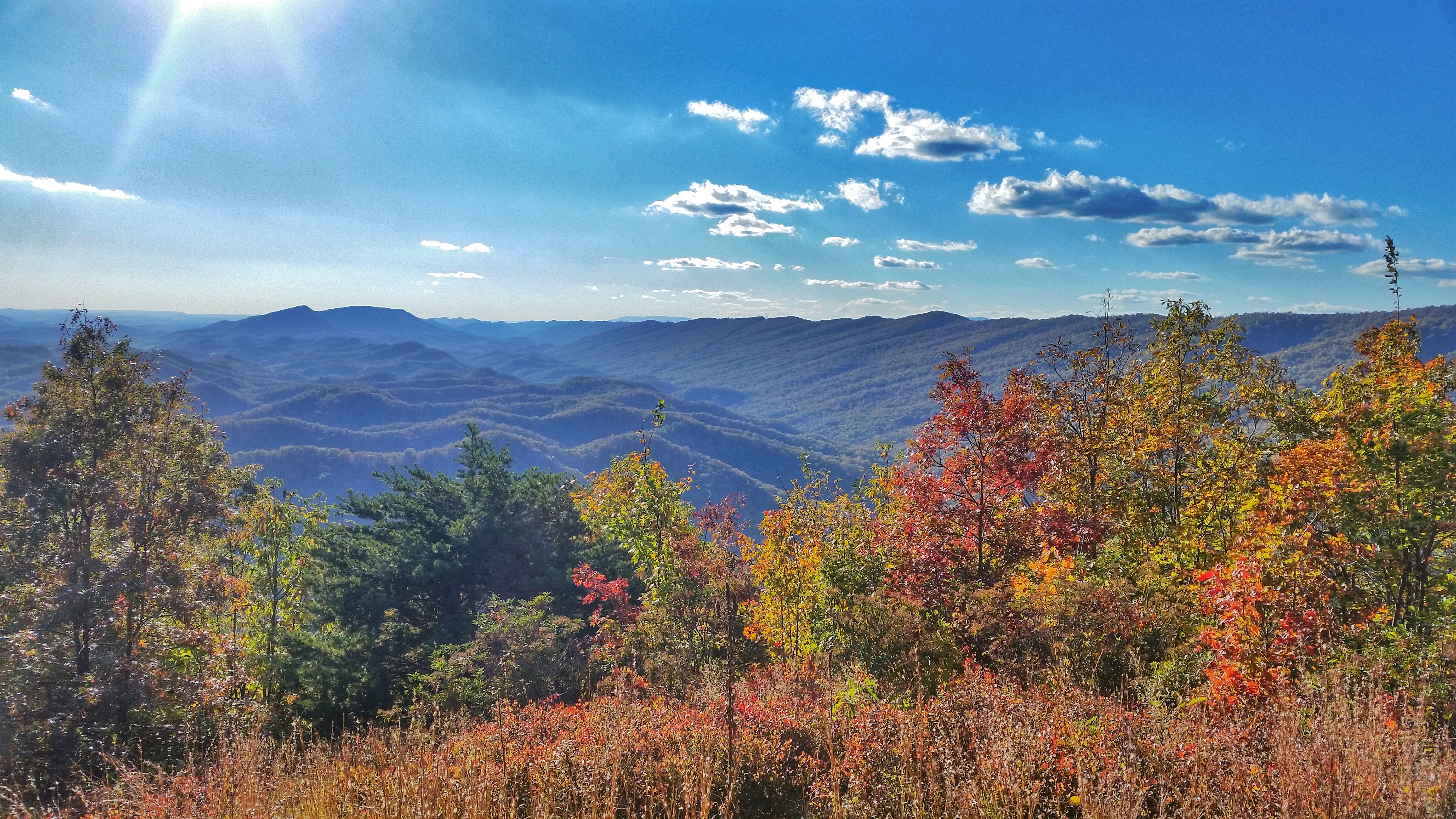 Hike Molly's Knob