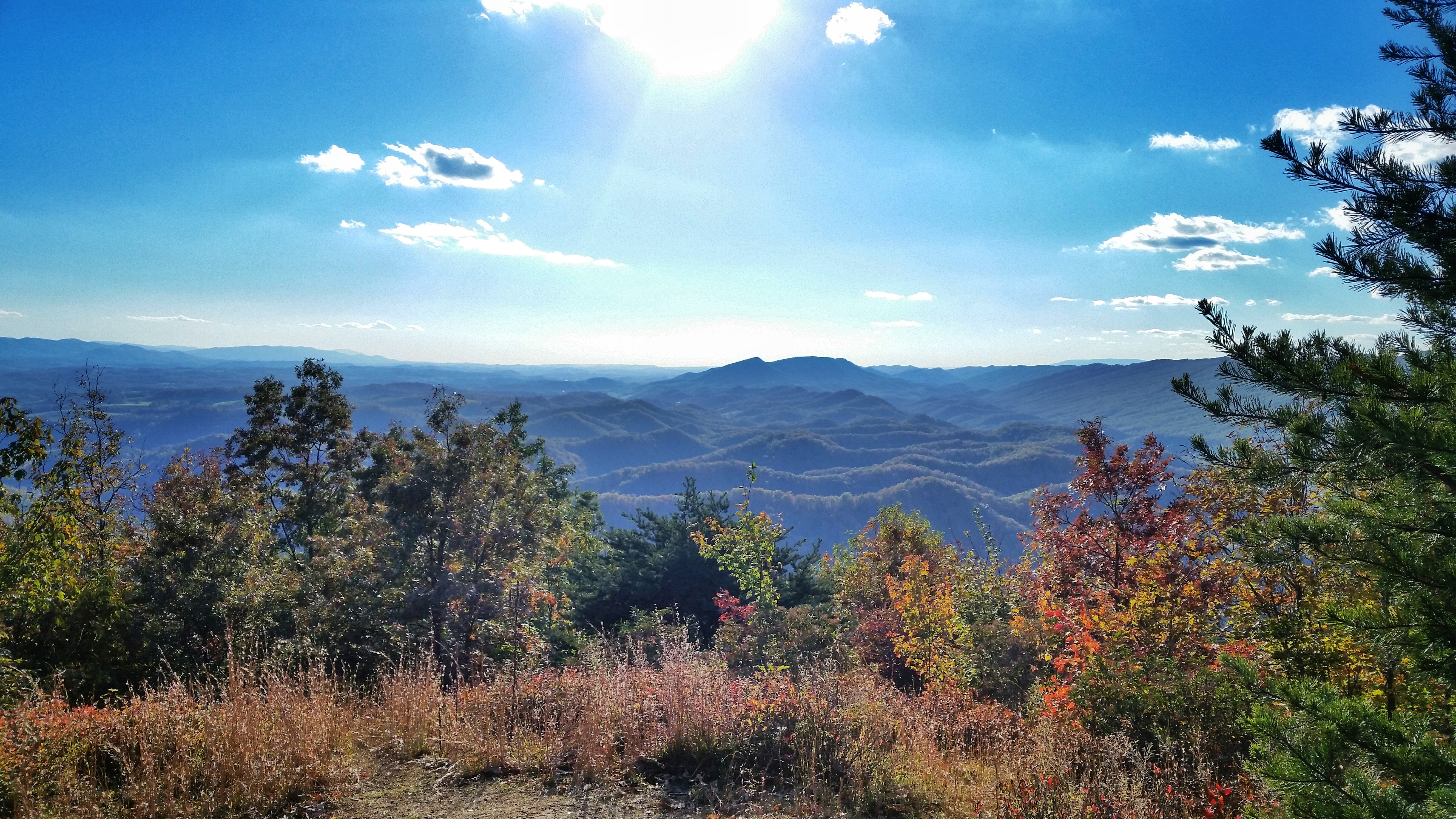 Hike Molly's Knob