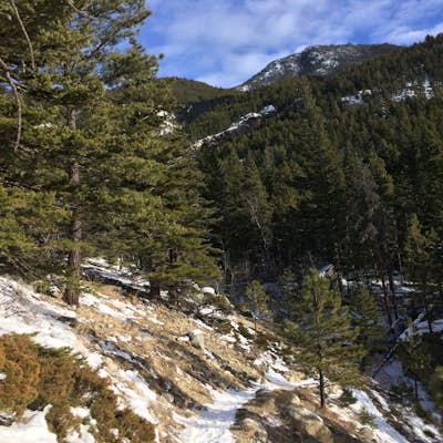 Winter Hike to the Woodbine Falls Overlook