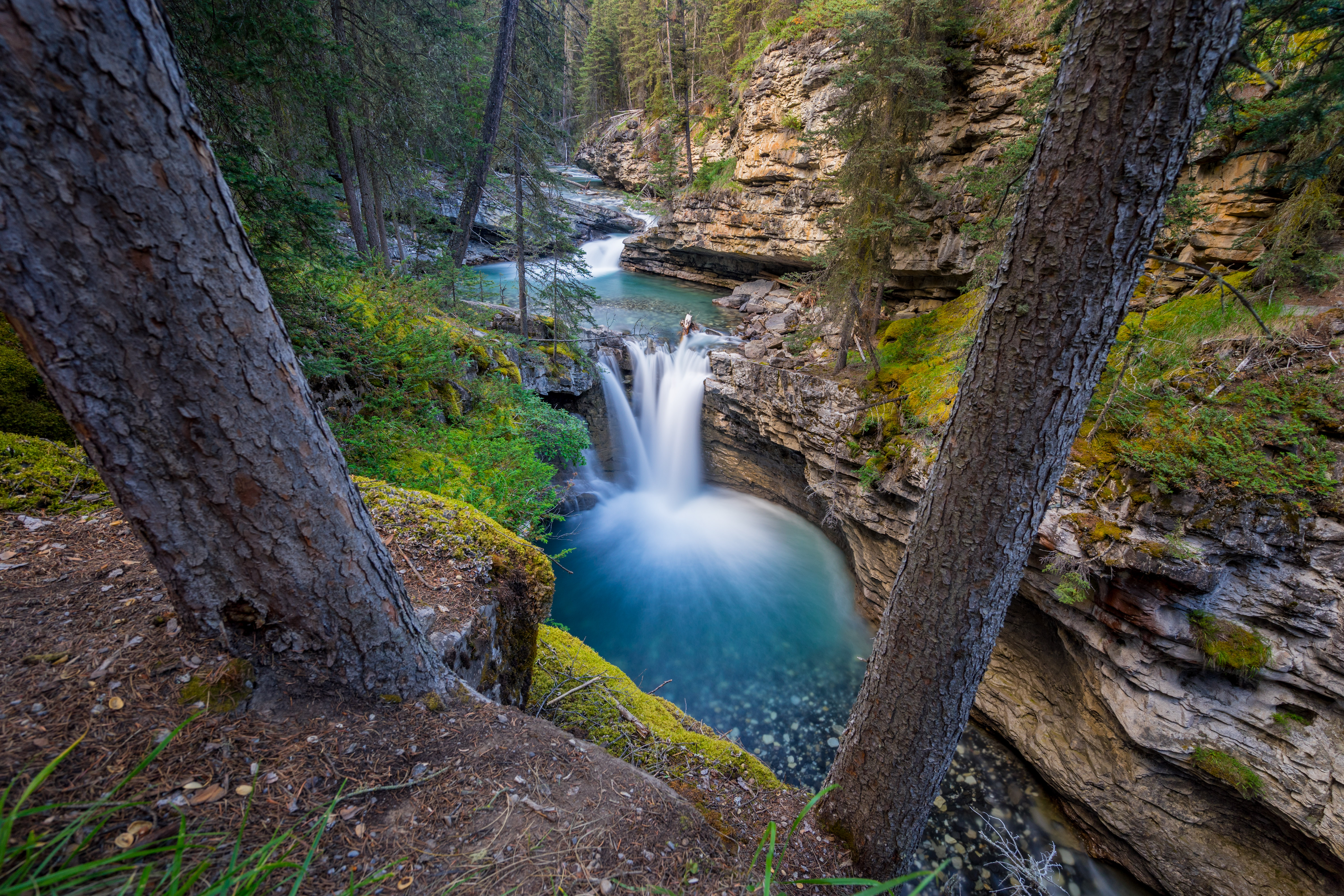 Johnston Canyon Cave (Closed)